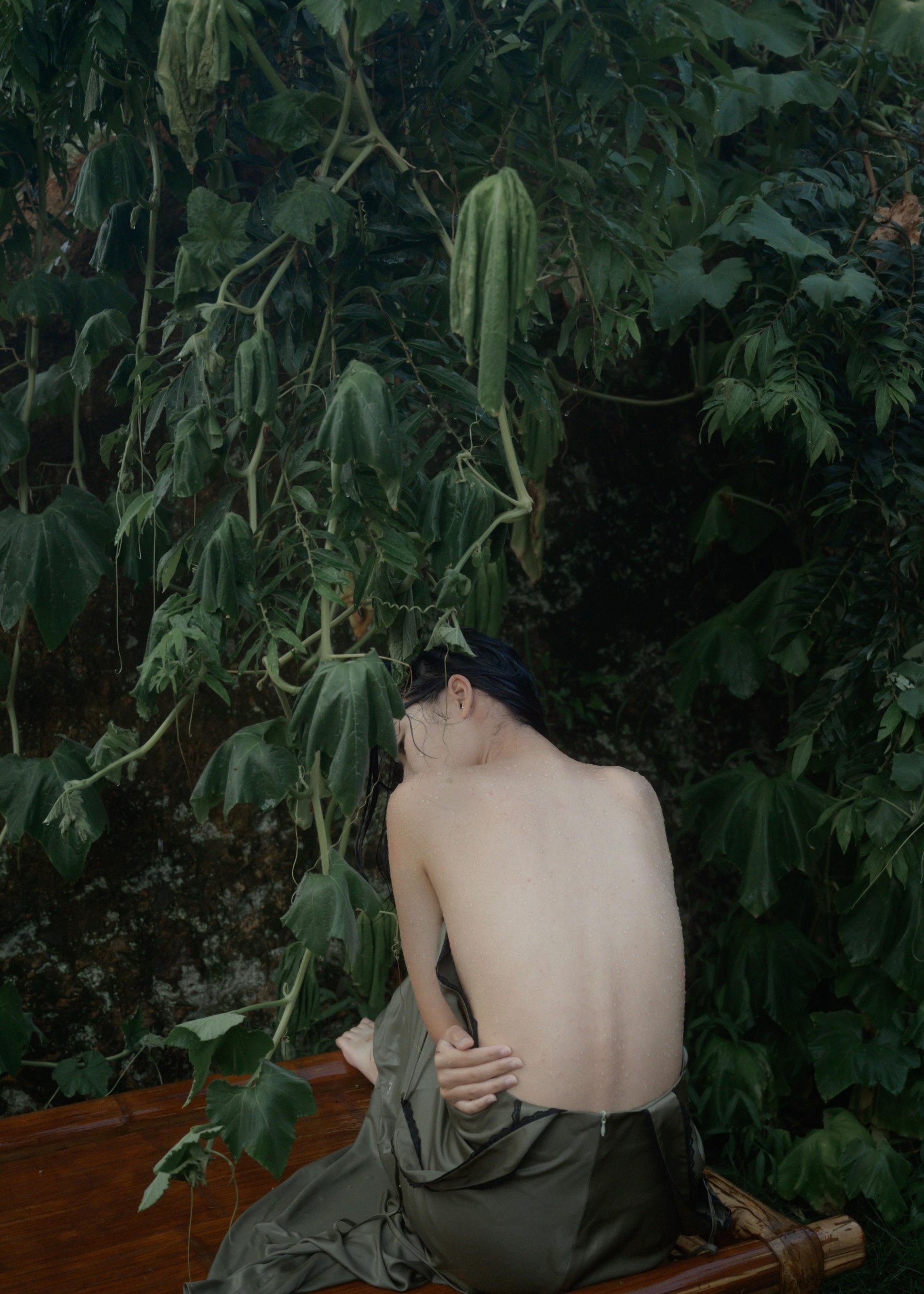 潮湿的夏