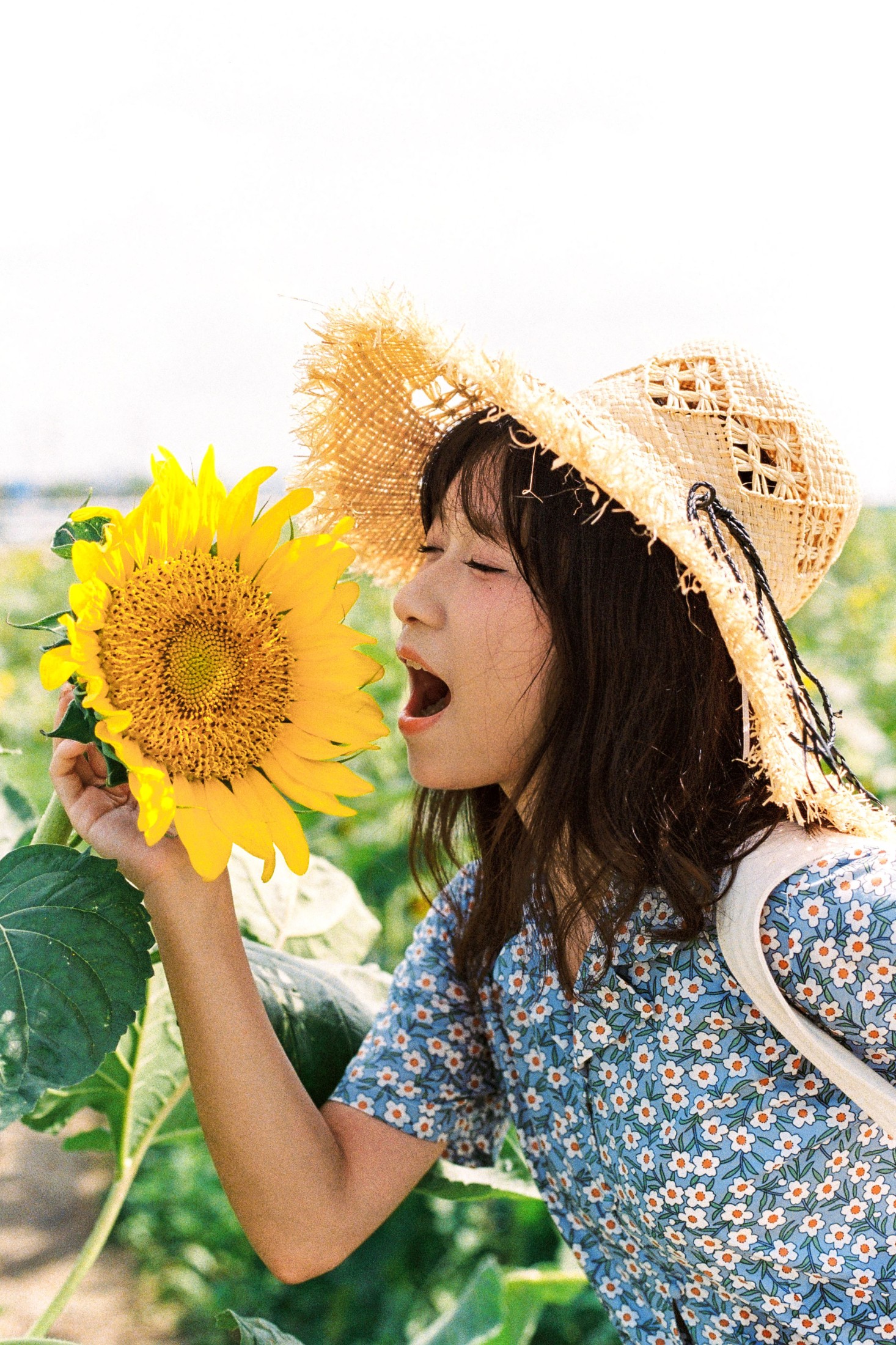 沐沐（约拍 – 《向日葵的花语》[18P]