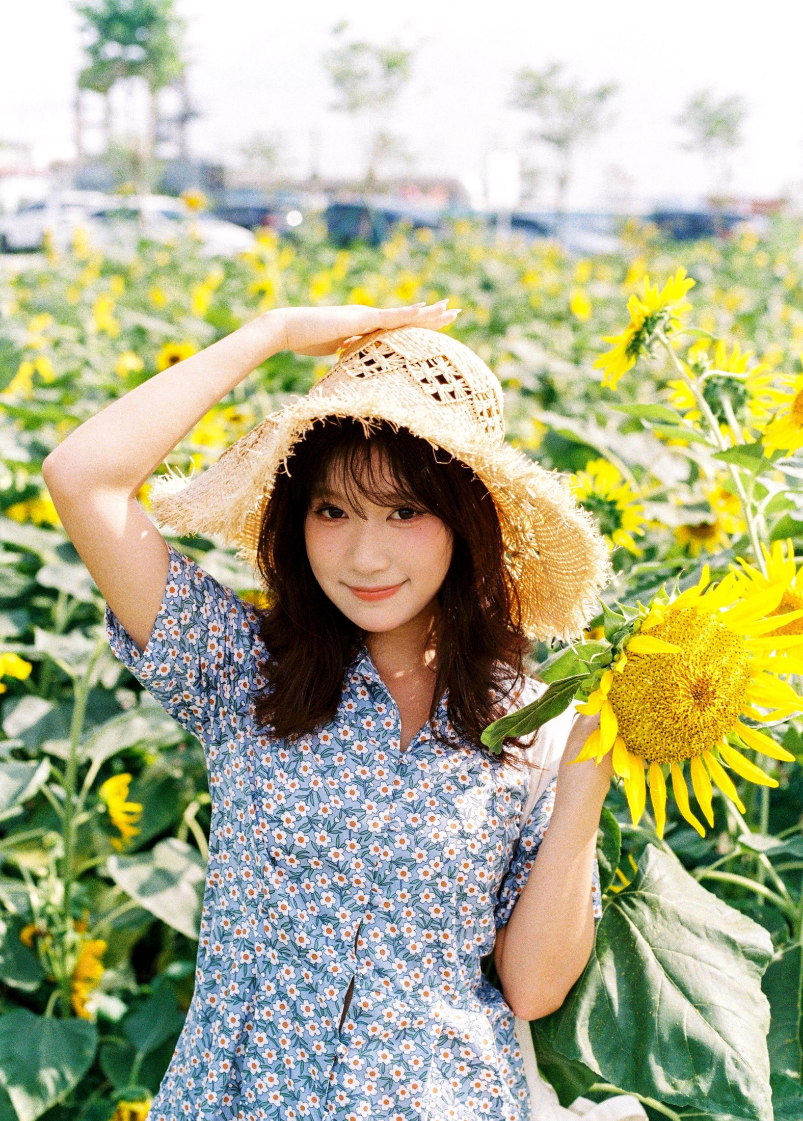 沐沐（约拍 – 《向日葵的花语》[18P]