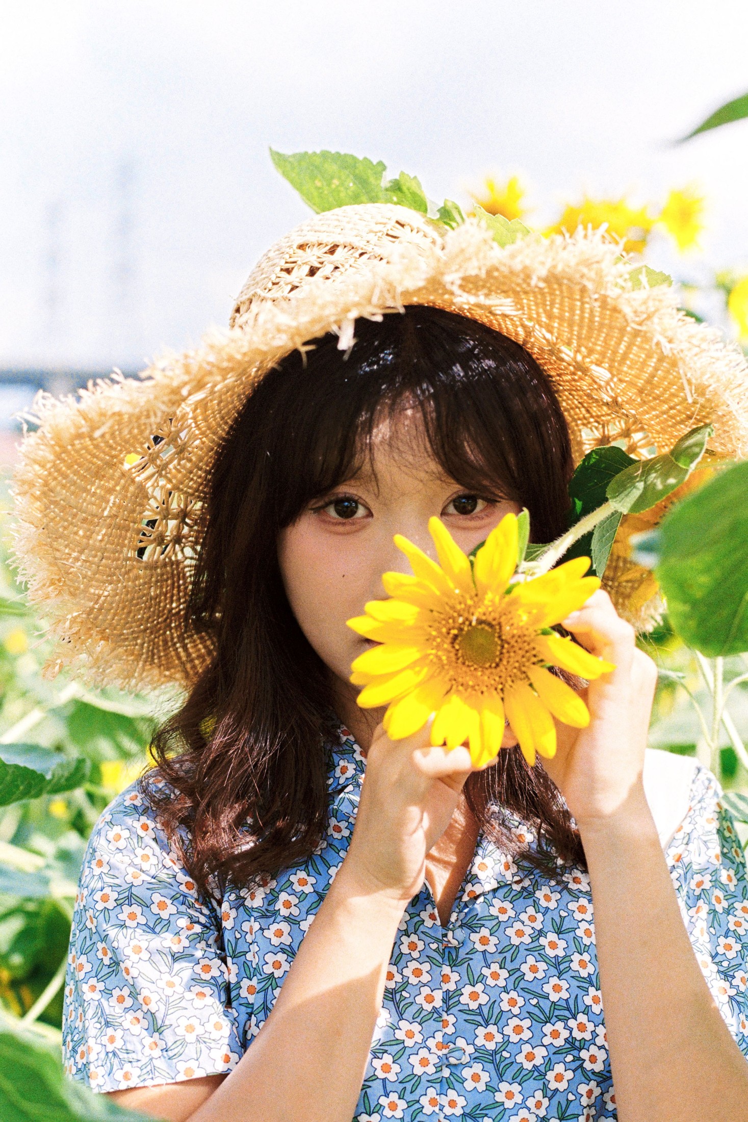 沐沐（约拍 – 《向日葵的花语》[18P]