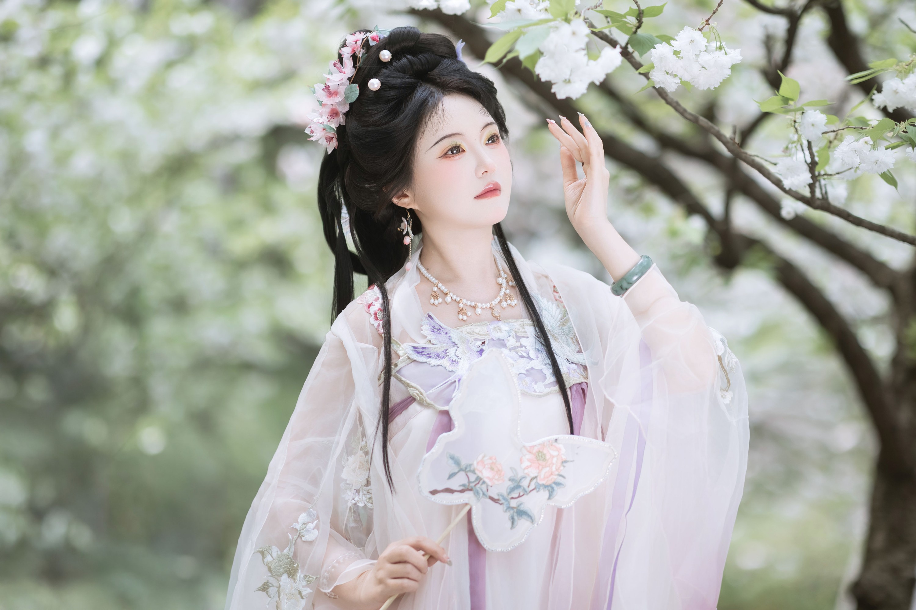 樱花似雪