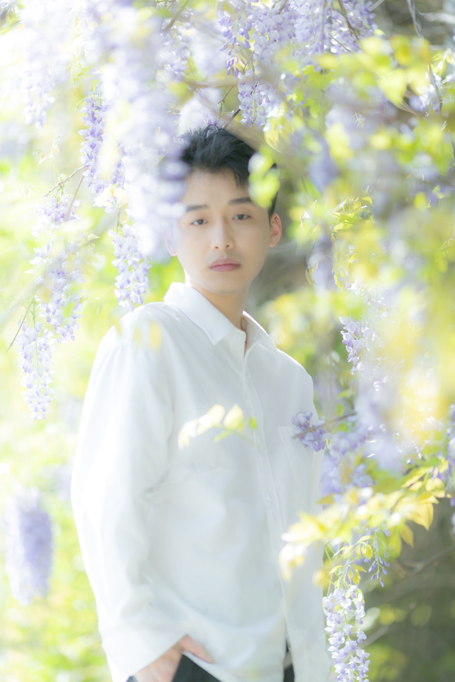 花儿与少年