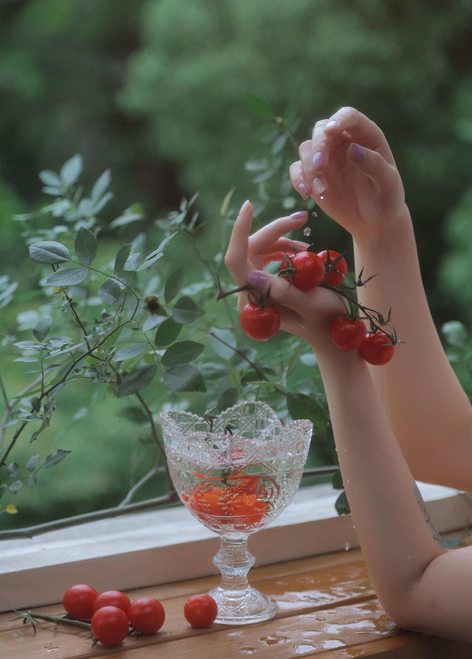 桃良阿宅 – 《雨天木屋》[36P]