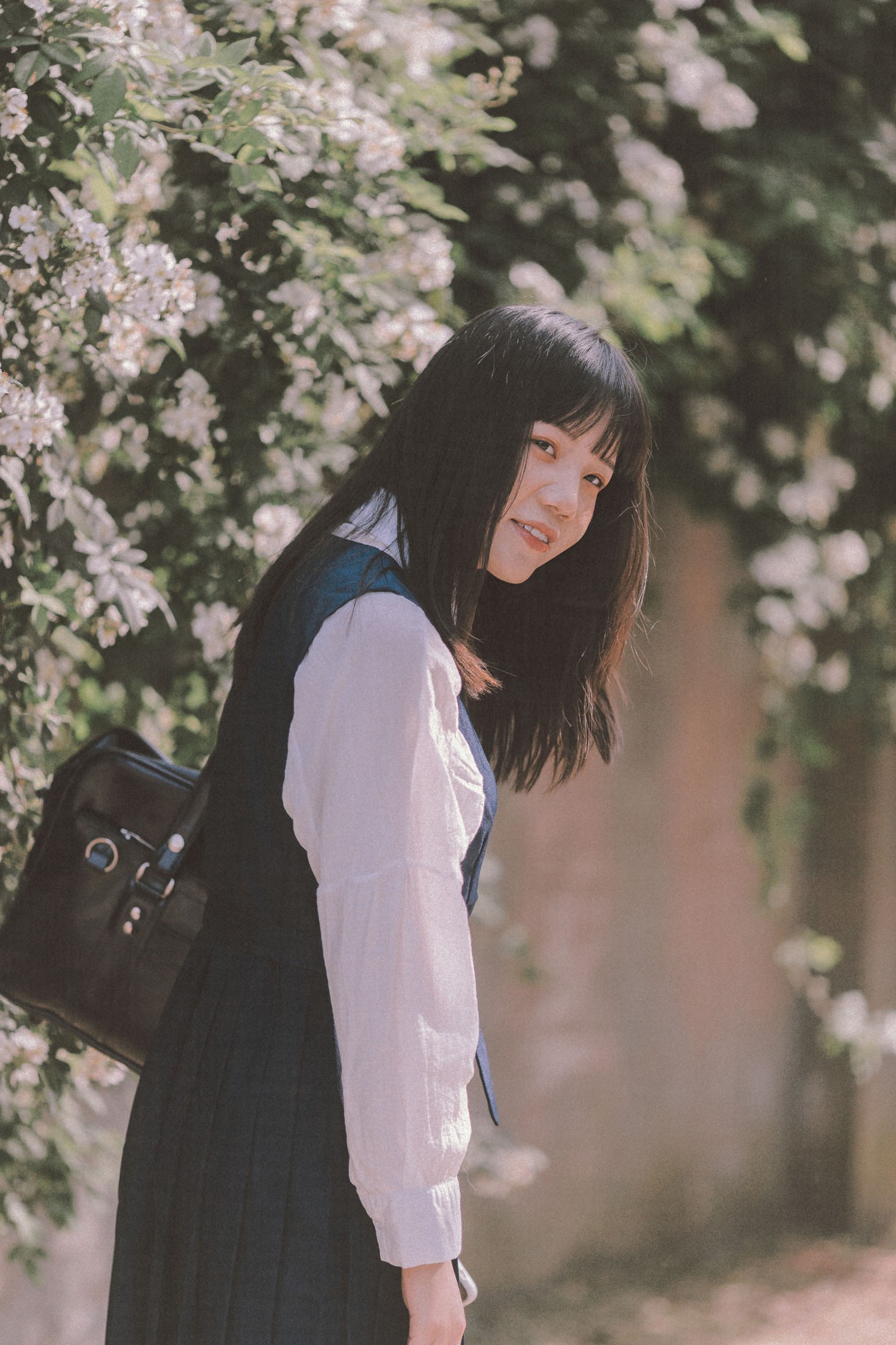 蔷薇花开