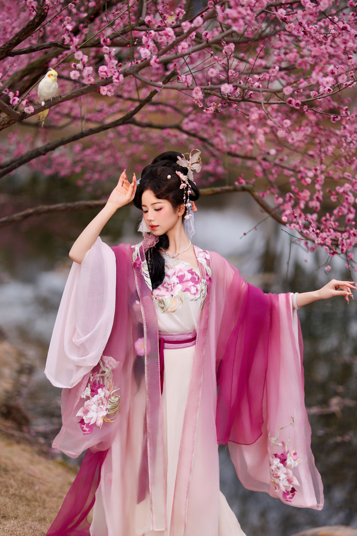 小杜同学 – 《芍药》[33P]