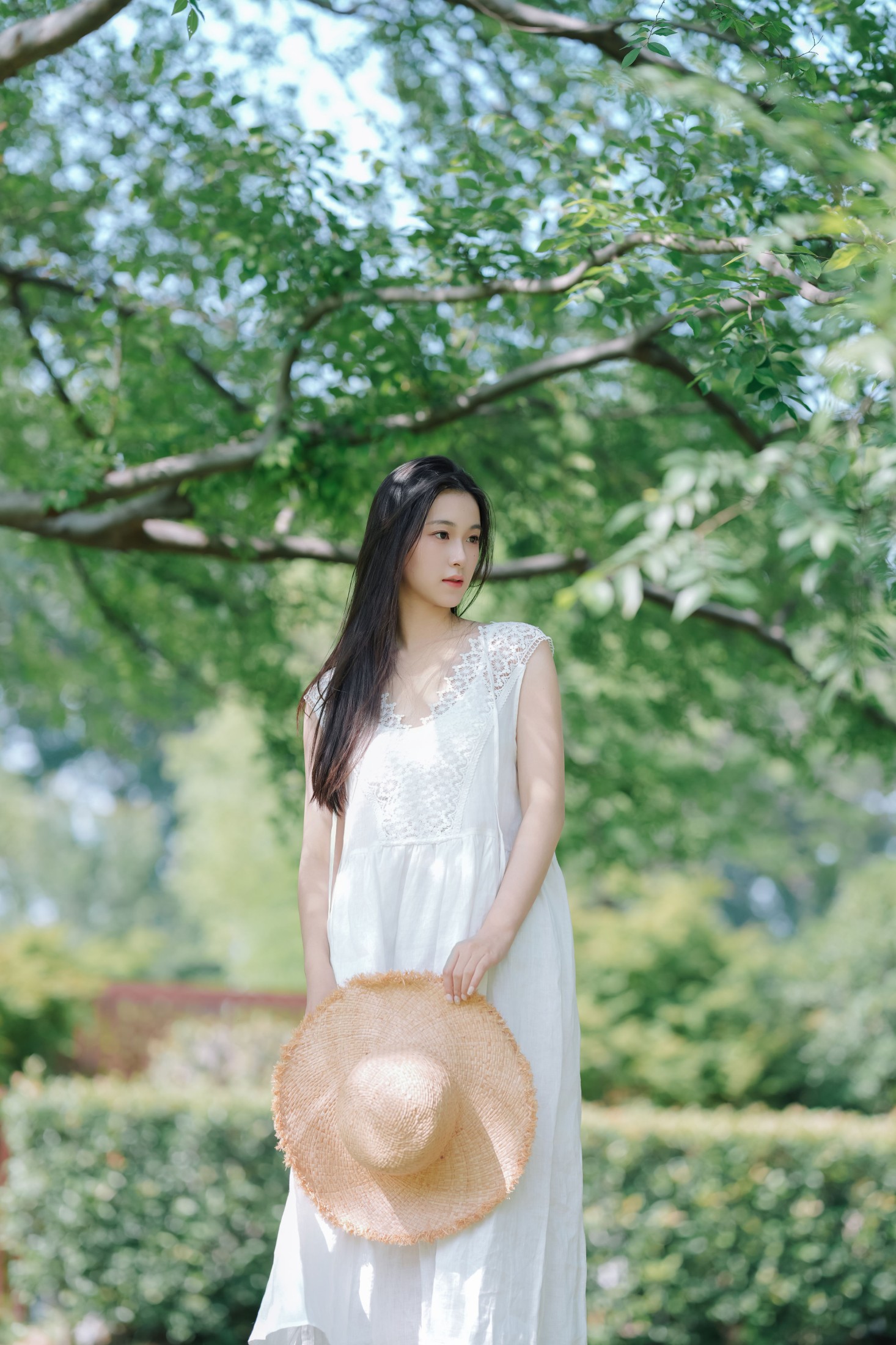 纯净夏日