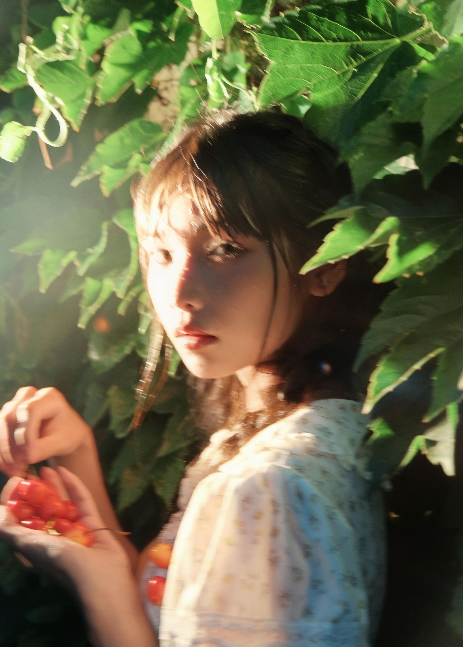 西一奥 – 《Poor Cherries》[28P]