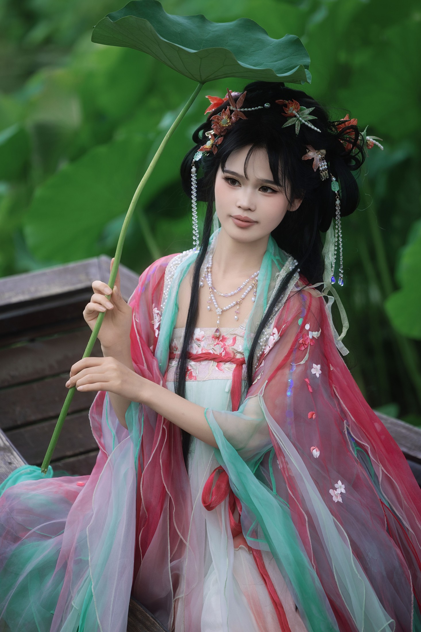夏日荷花