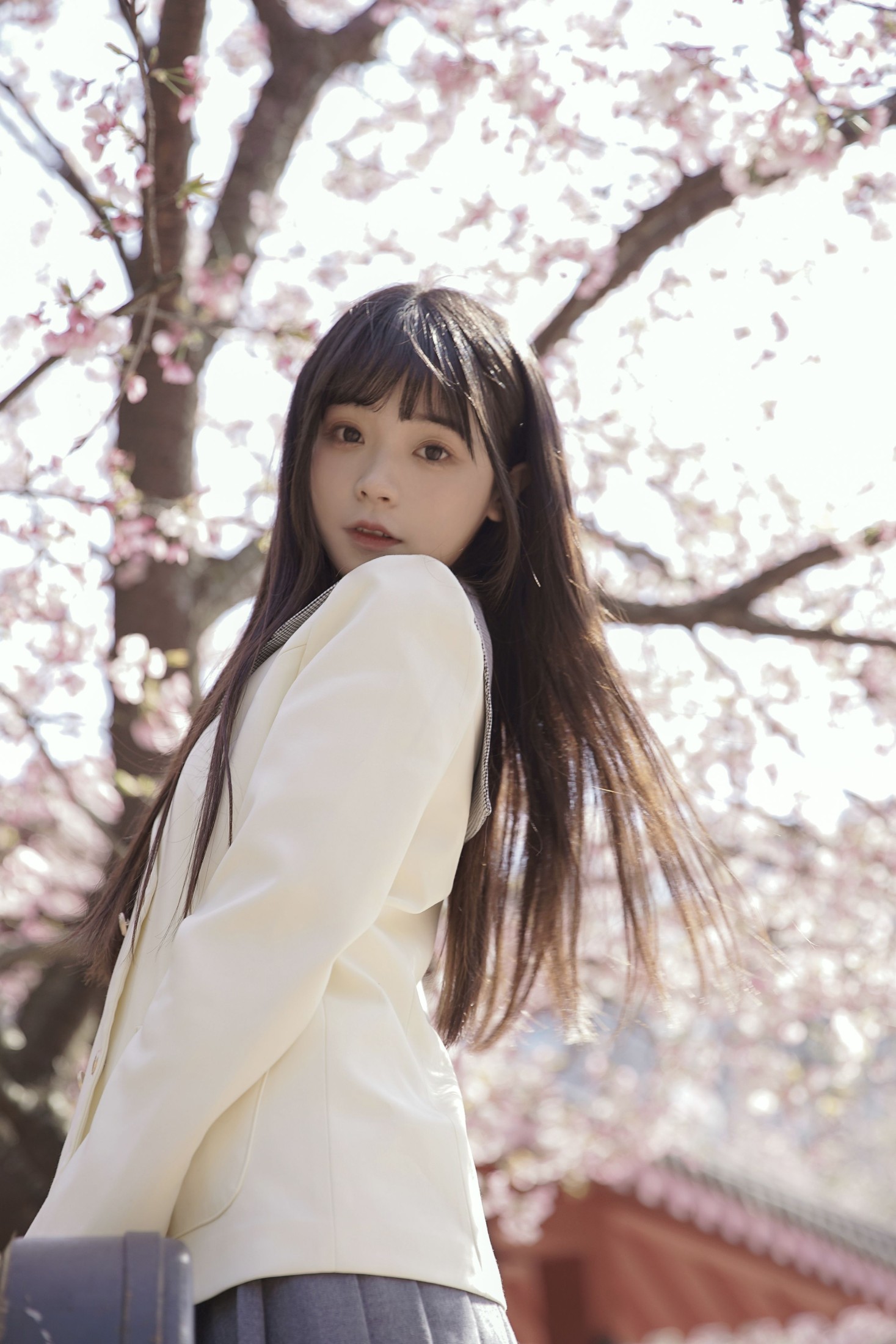 樱花下的少女