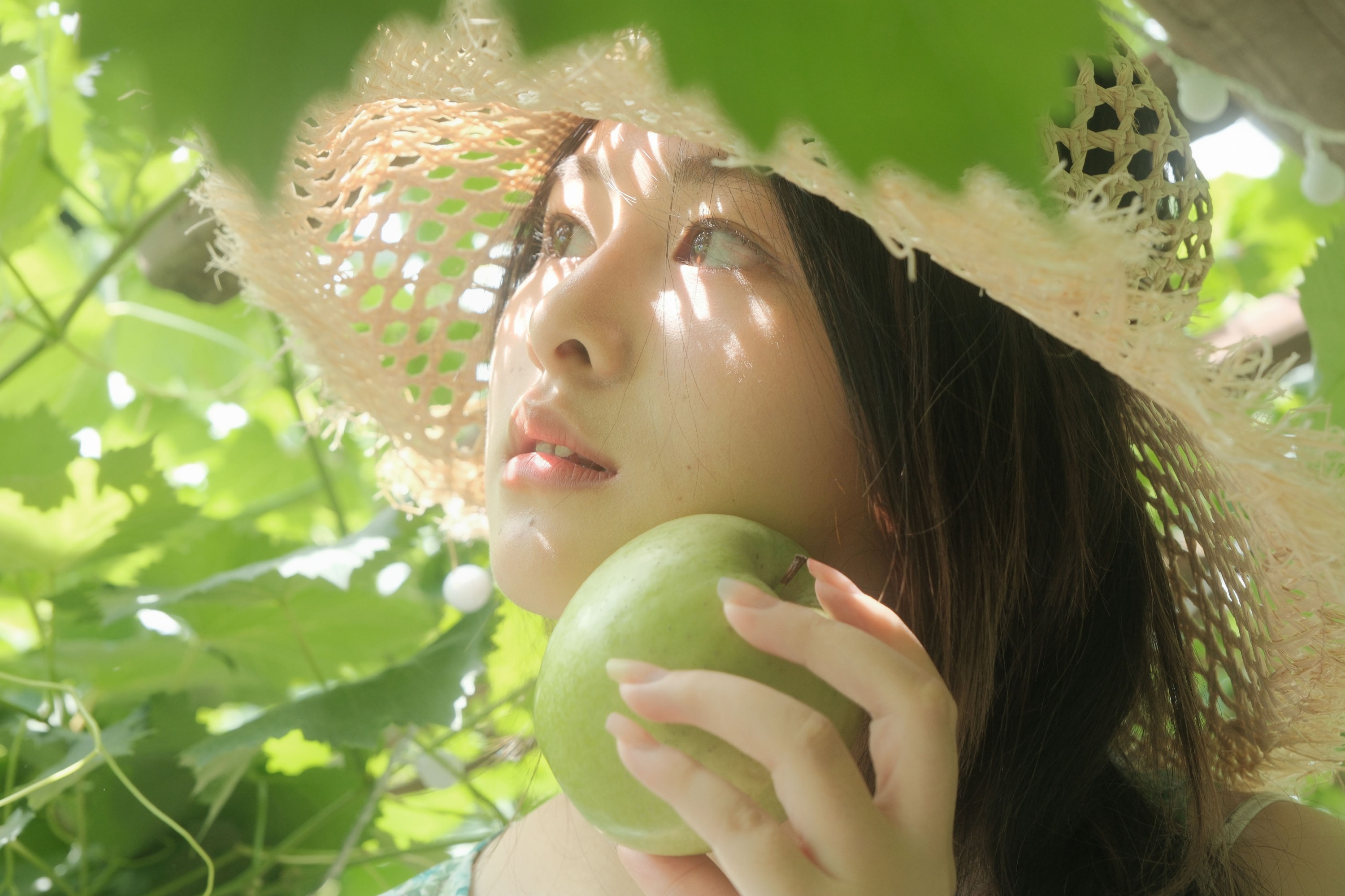 皖 – 《风车茉莉》[22P]