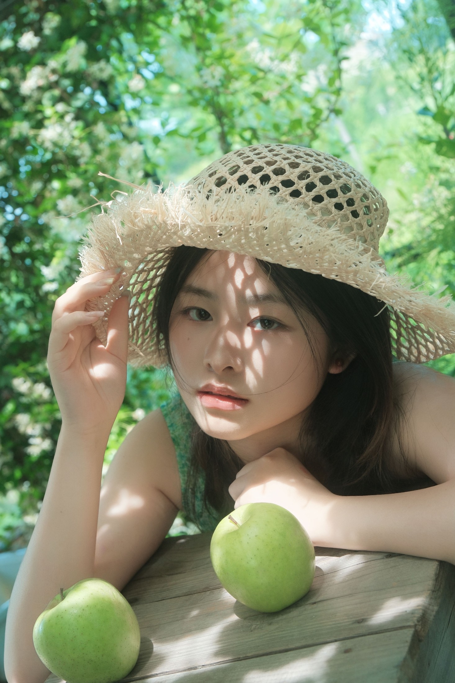 风车茉莉