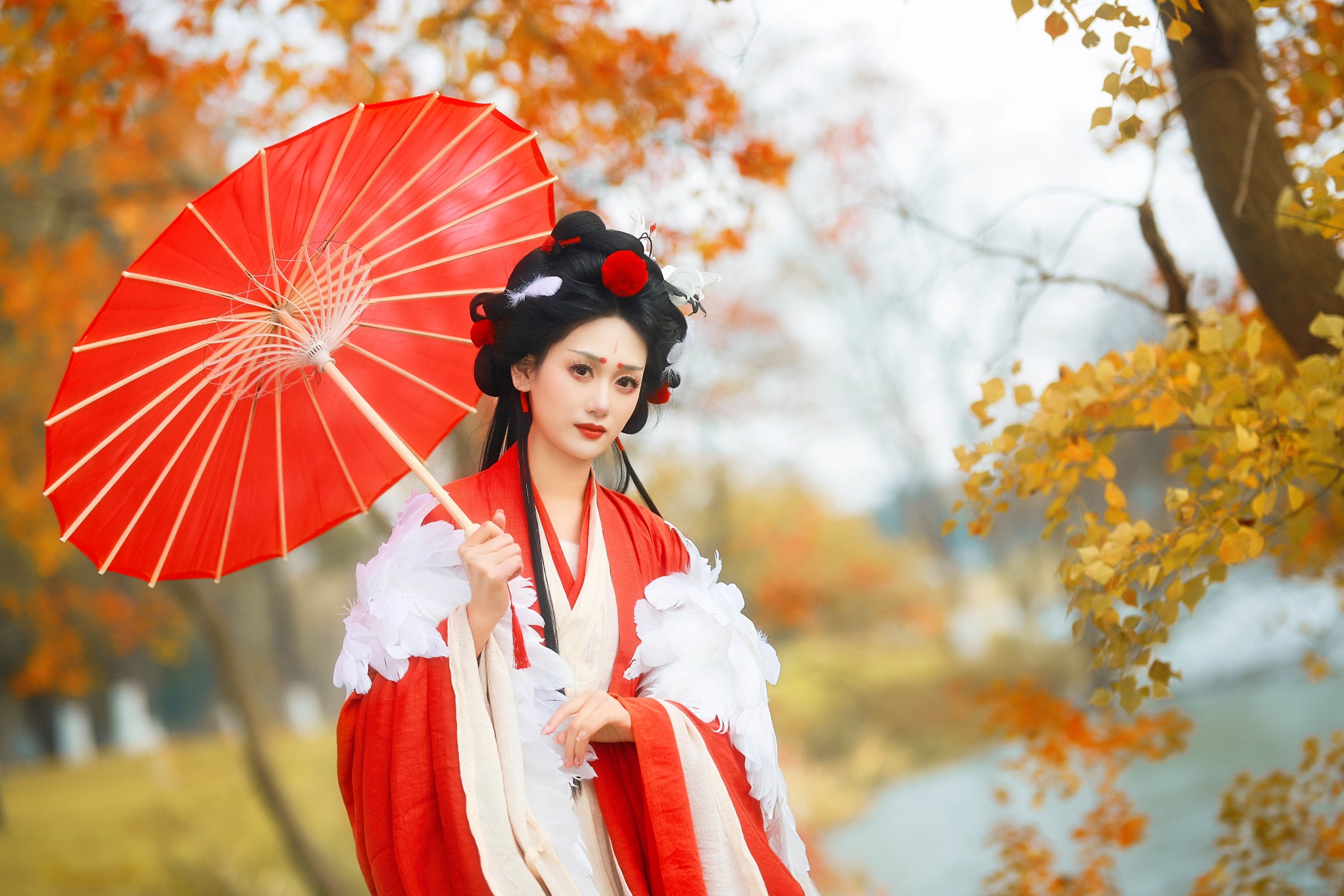 一只大大大李子 – 《仙鹤》[18P]