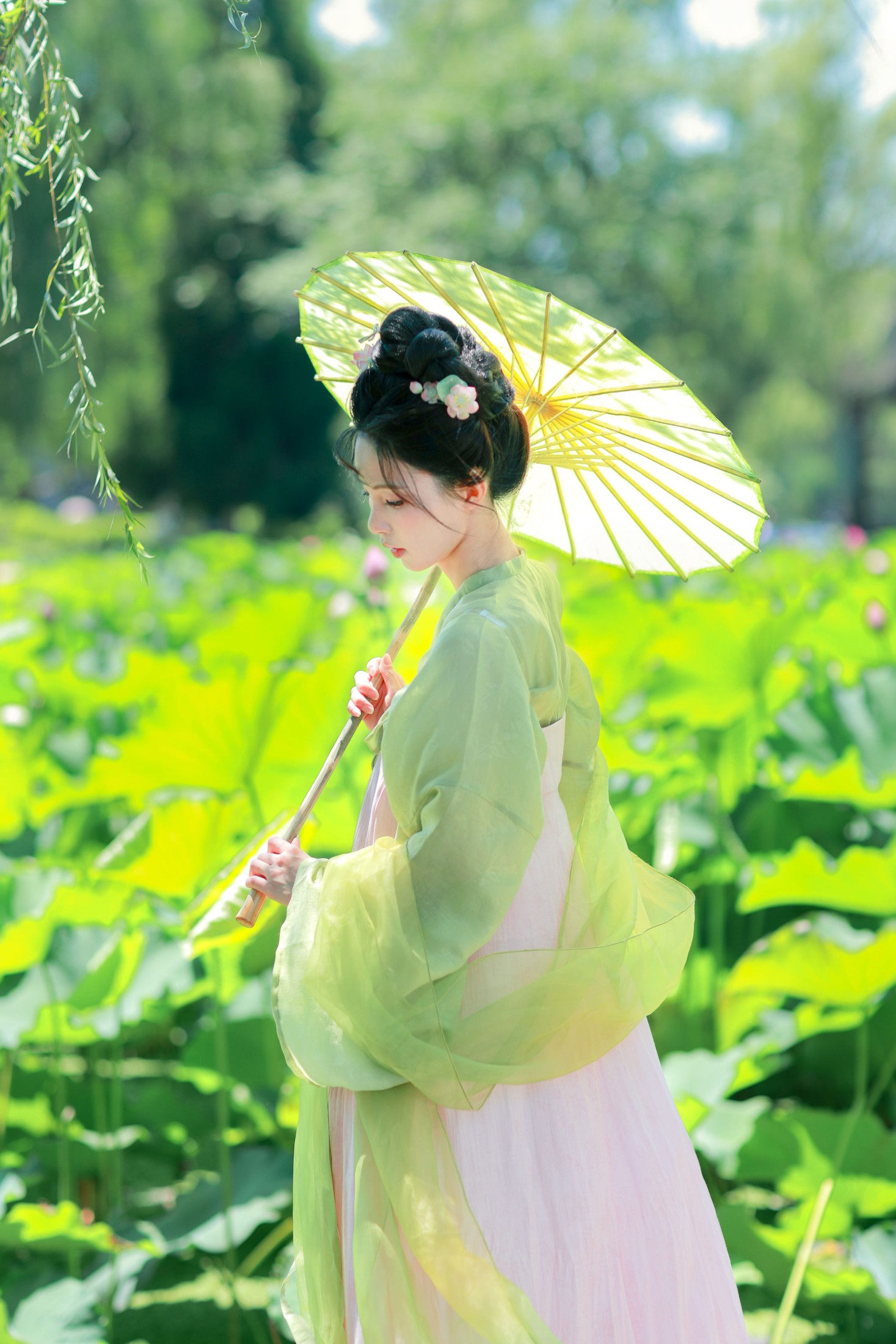 绿荫浓,夏日长