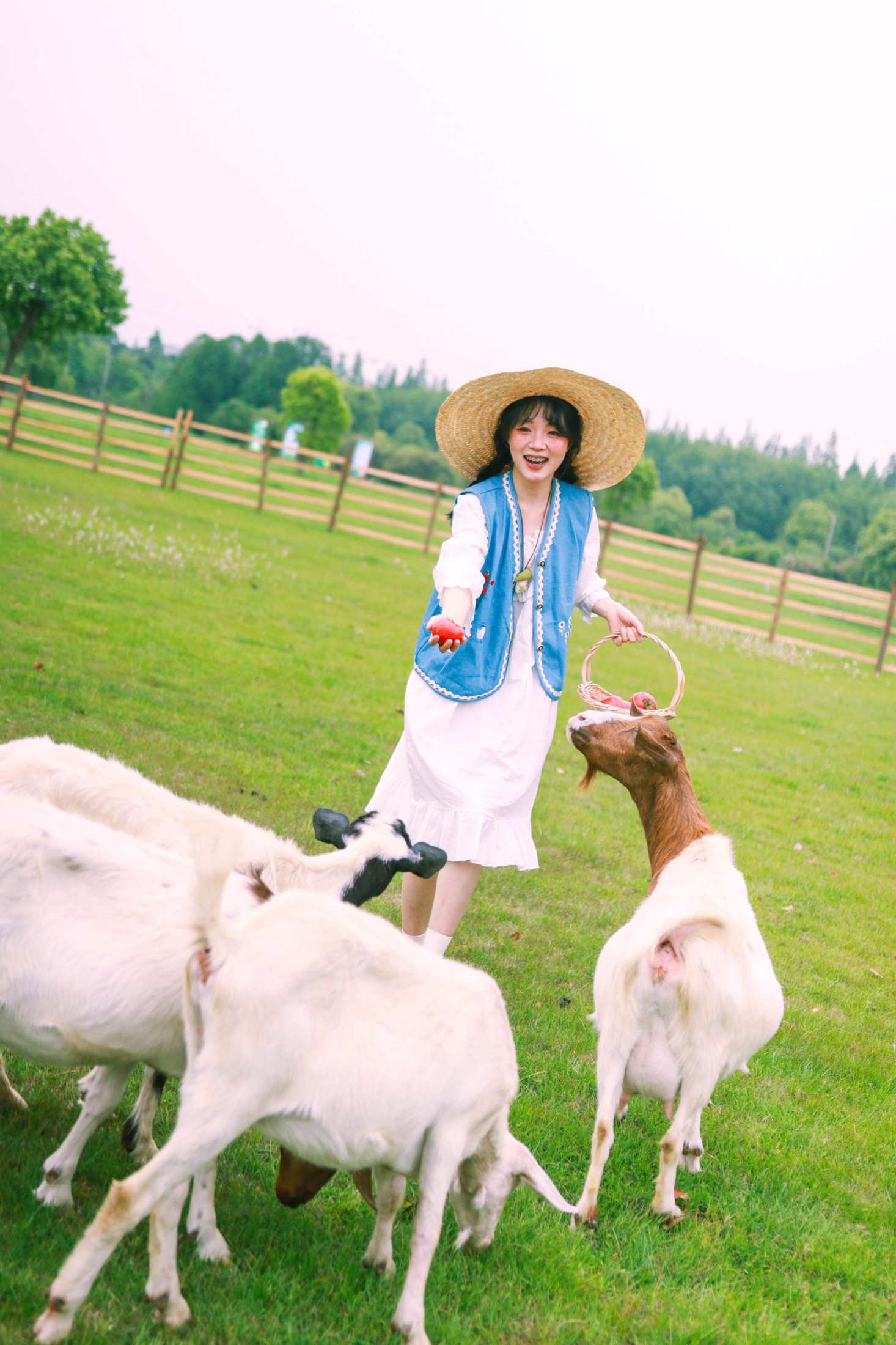 农场主的女儿