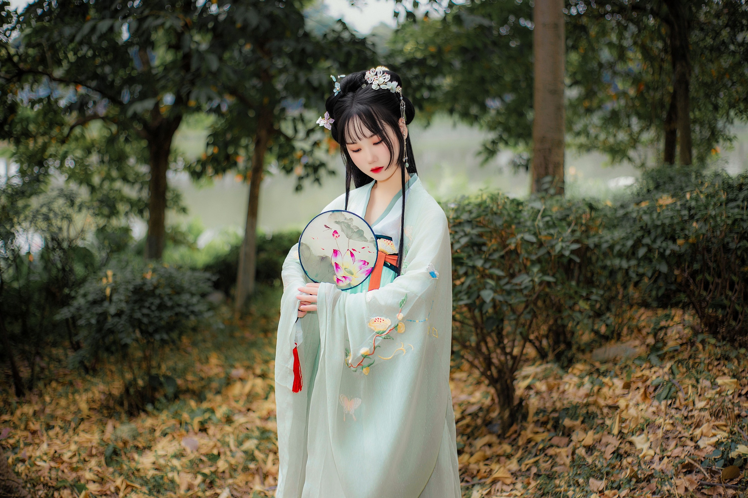 晓青衫