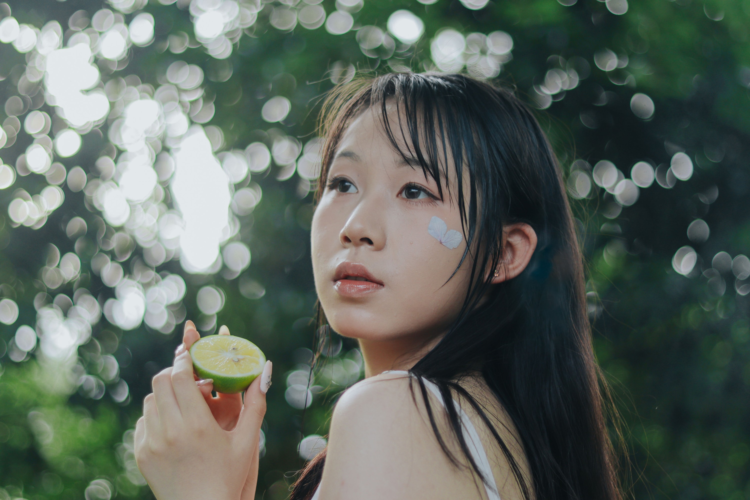 雨中绣球