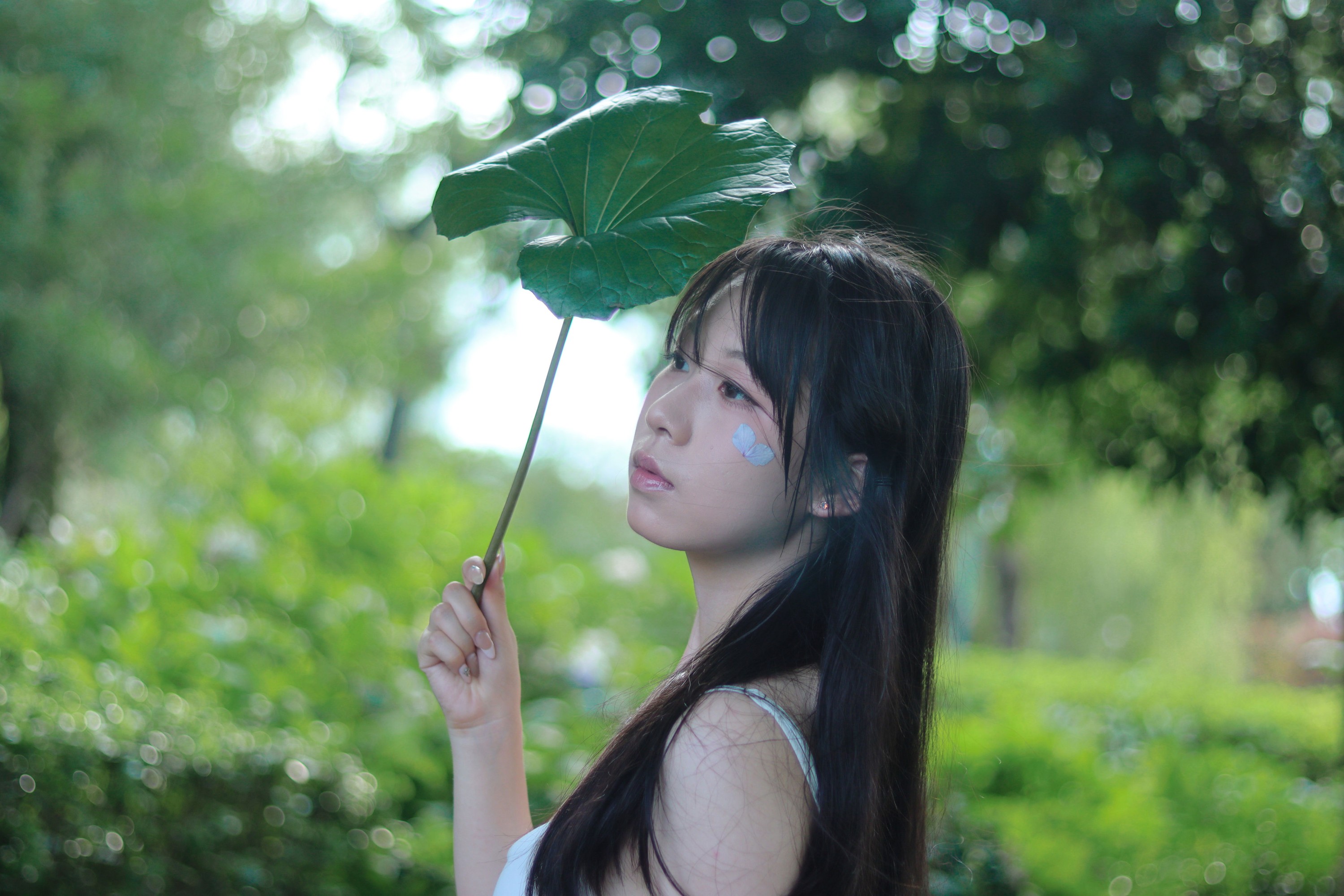 桃一 – 《雨中绣球》[17P]