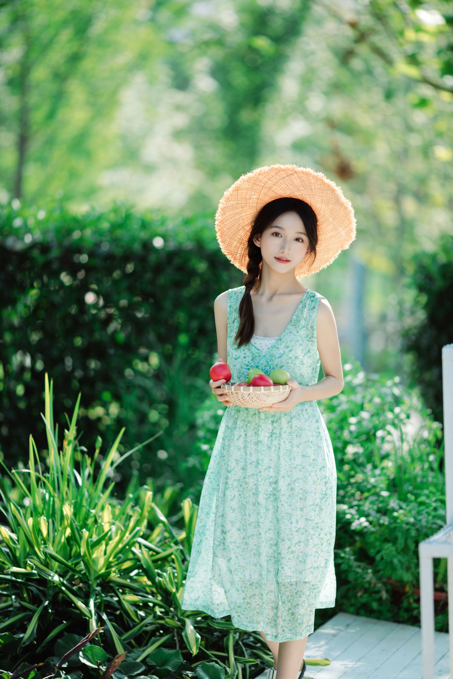 绿色夏日
