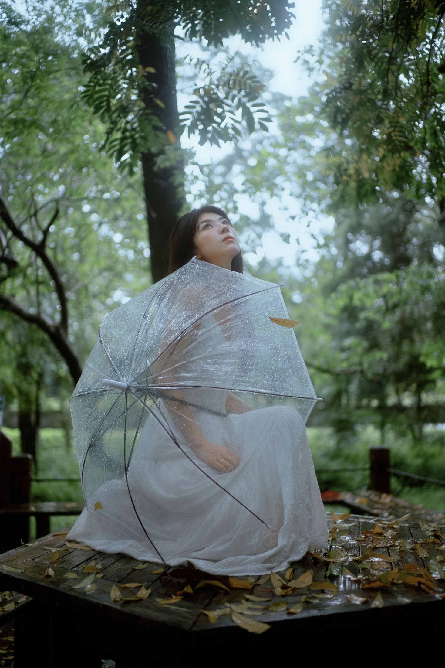小鹿 – 《雨落林间，邂逅白裙仙子》[20P]