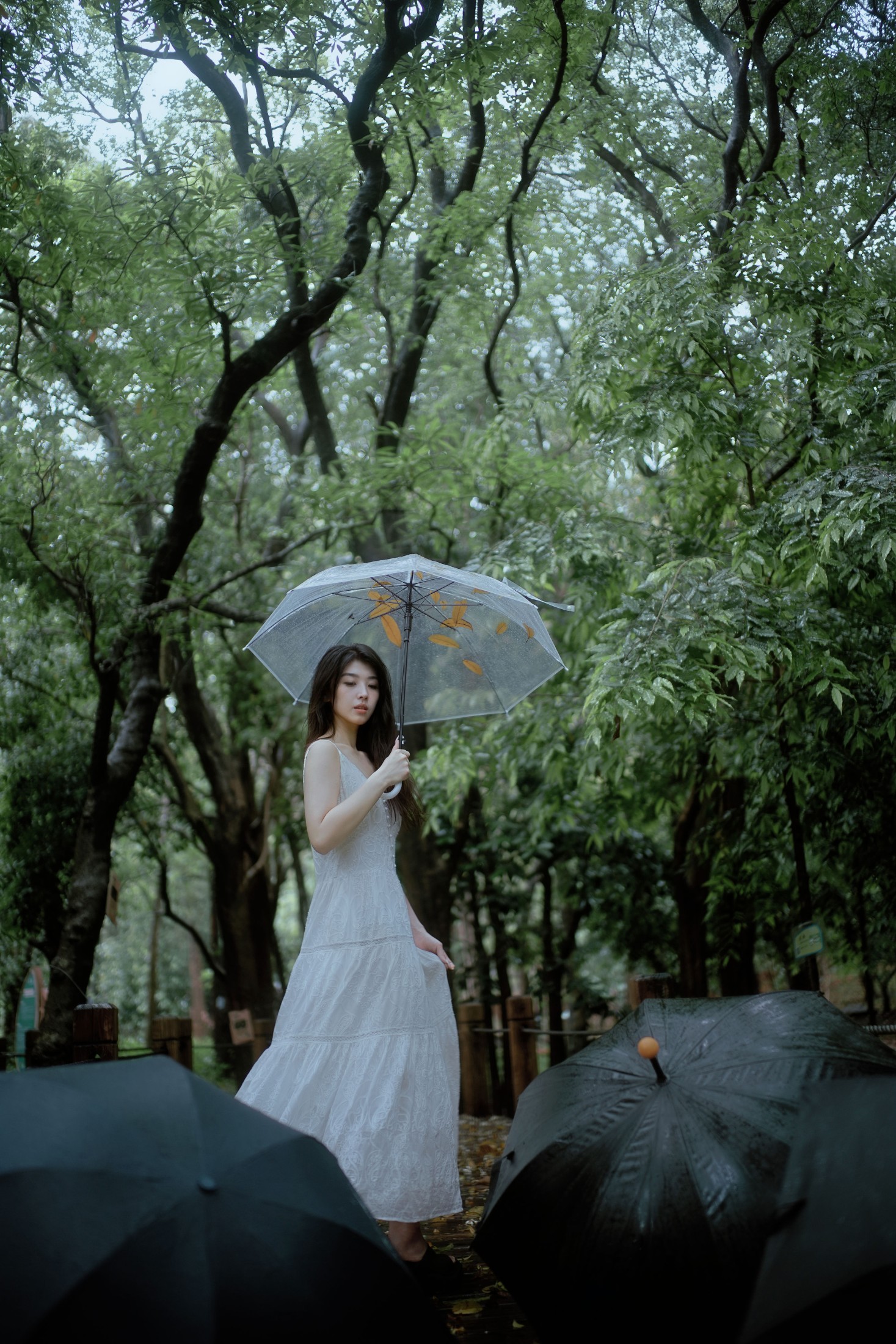 小鹿 – 《雨落林间，邂逅白裙仙子》[20P]