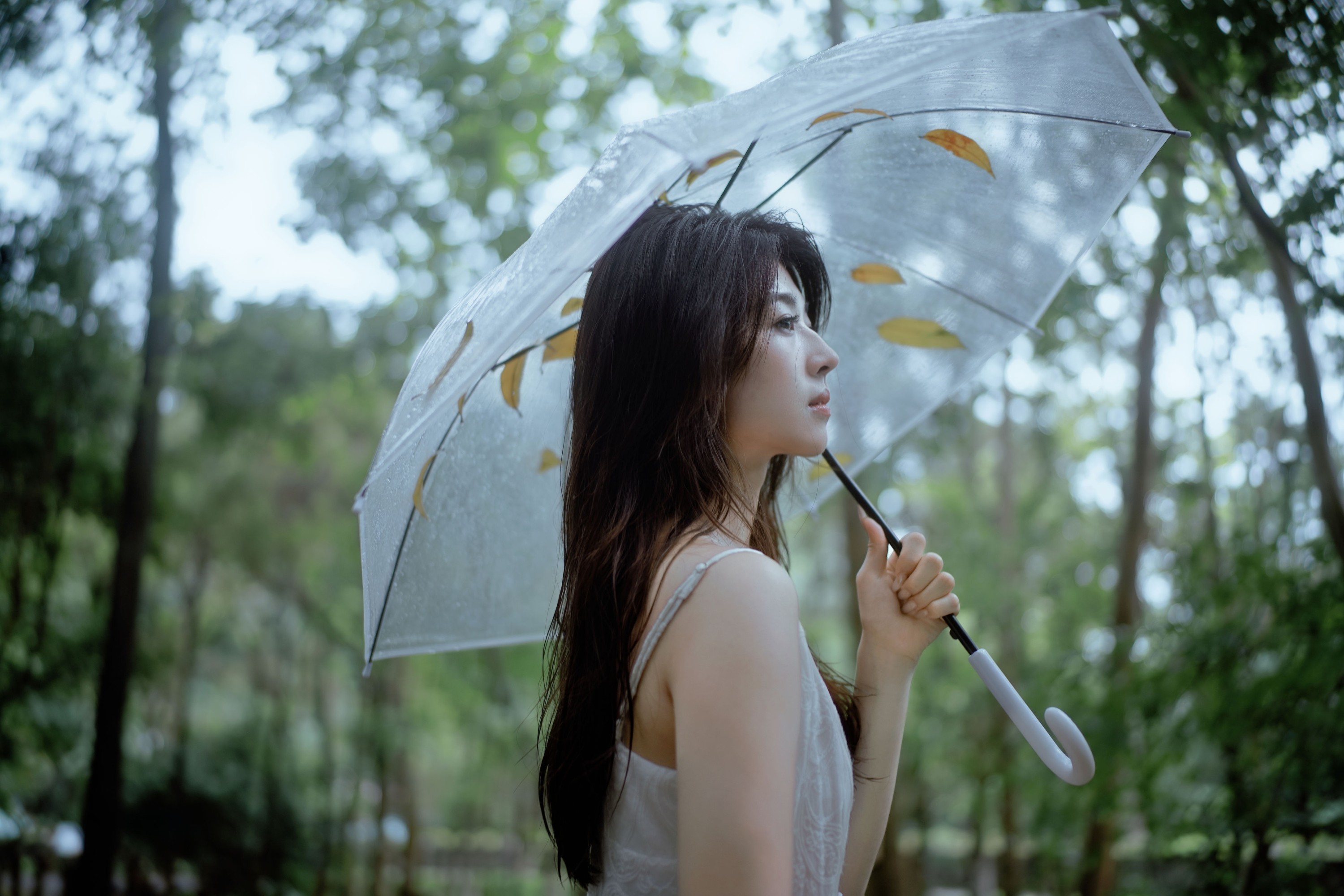 雨落林间,邂逅白裙仙子