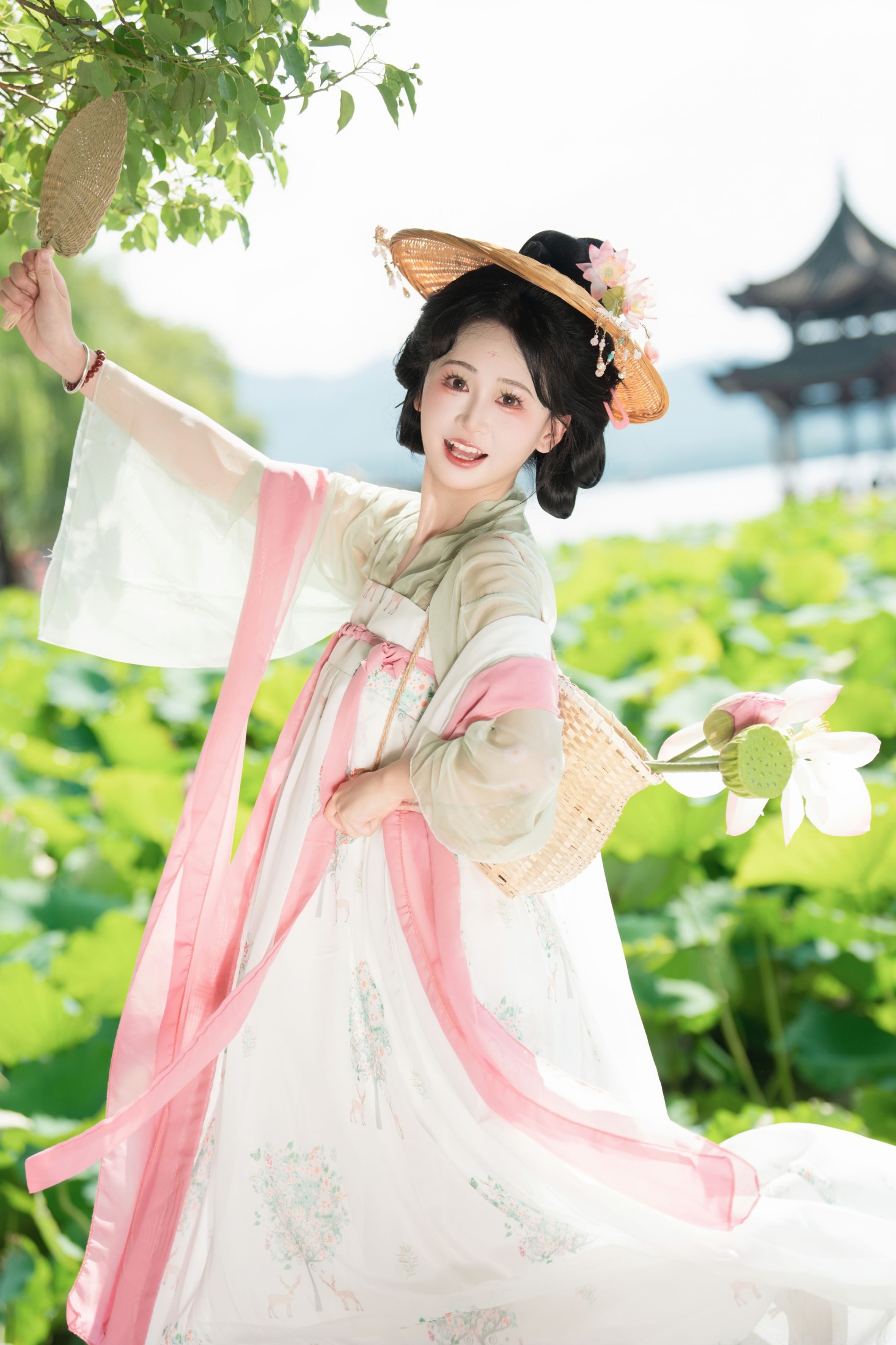 夏日荷花