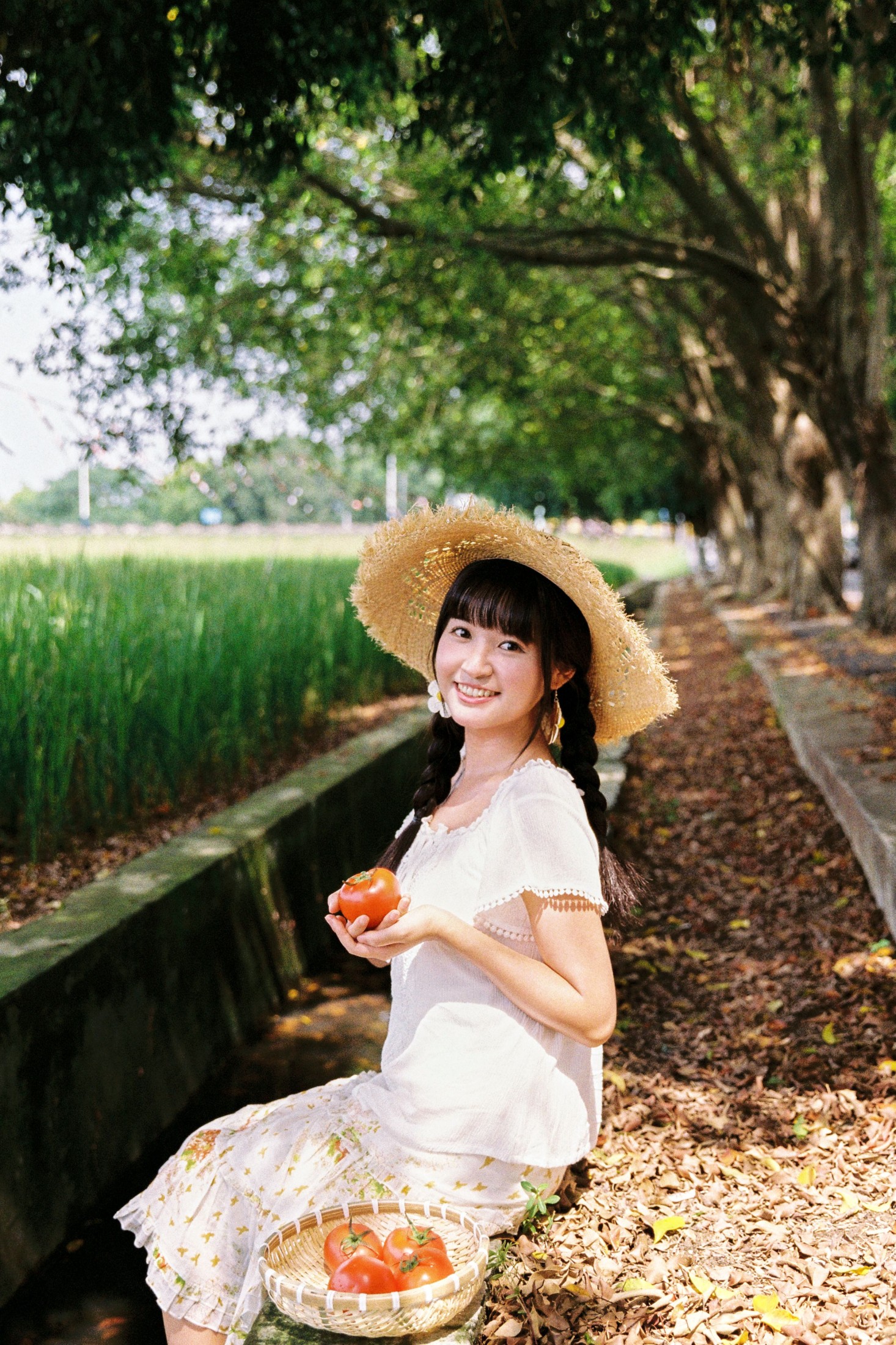 我喜欢的盛夏