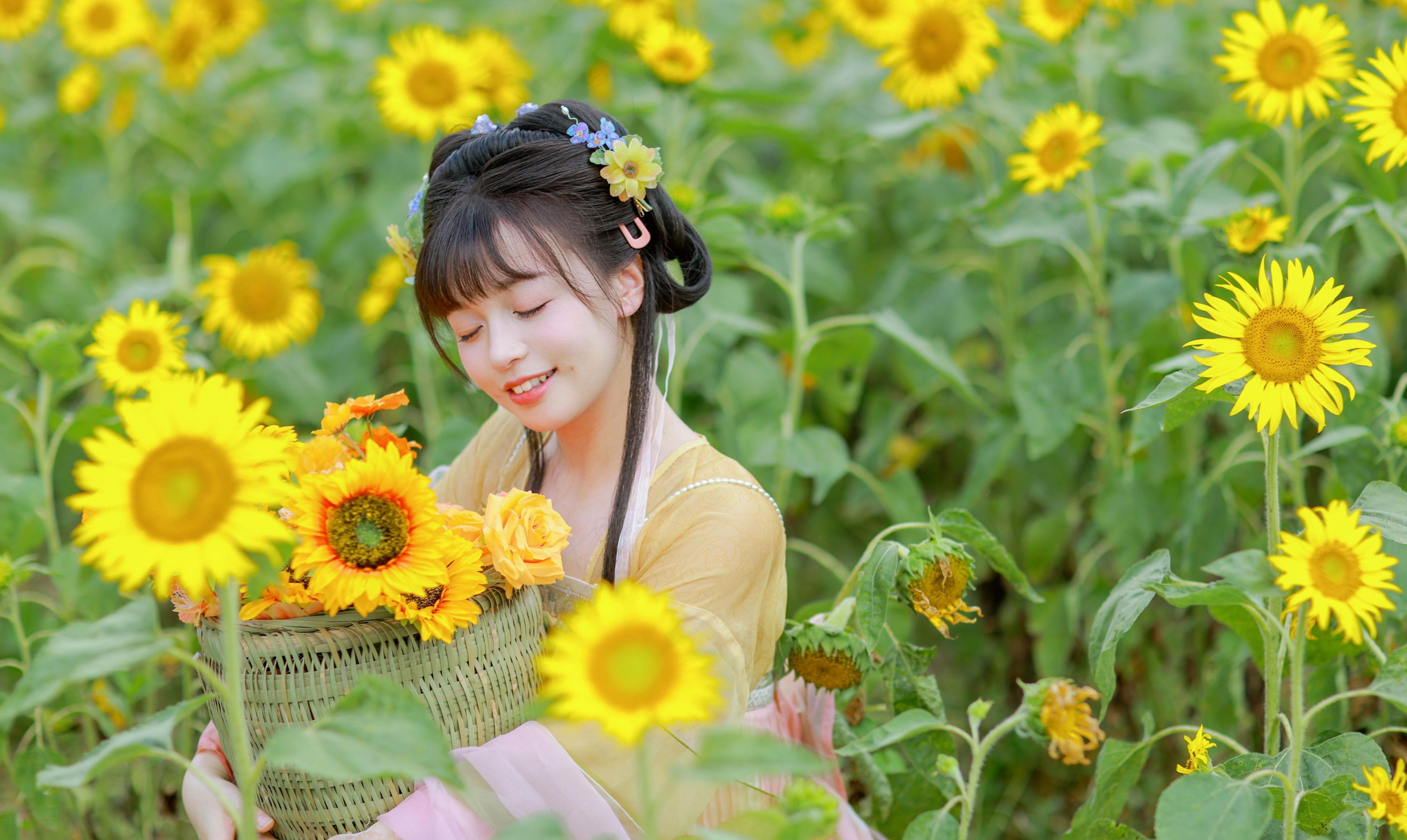 琳琳 – 《这片向日葵已经被本小姐承包了！》[13P]