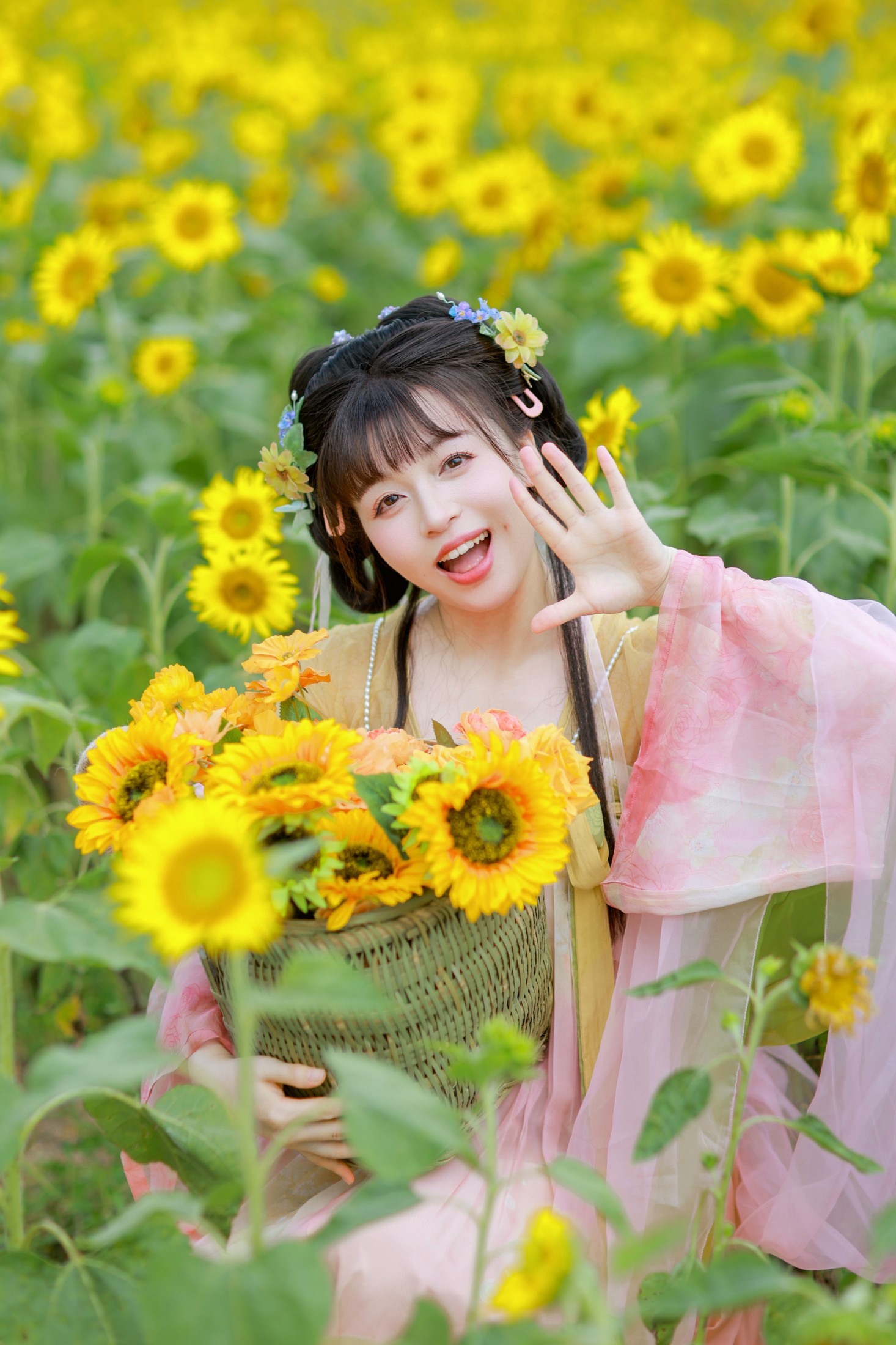 这片向日葵已经被本小姐承包了!
