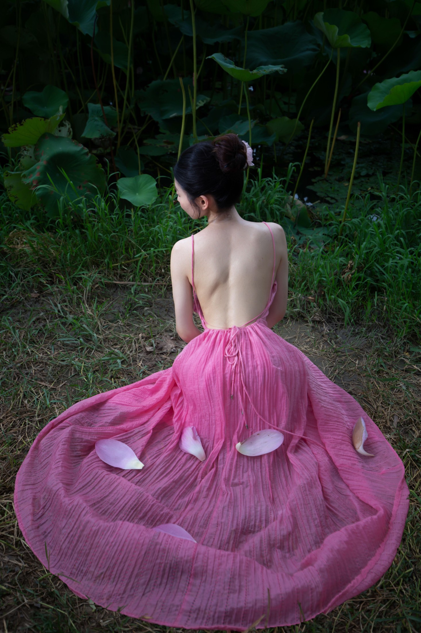 荷花与少女
