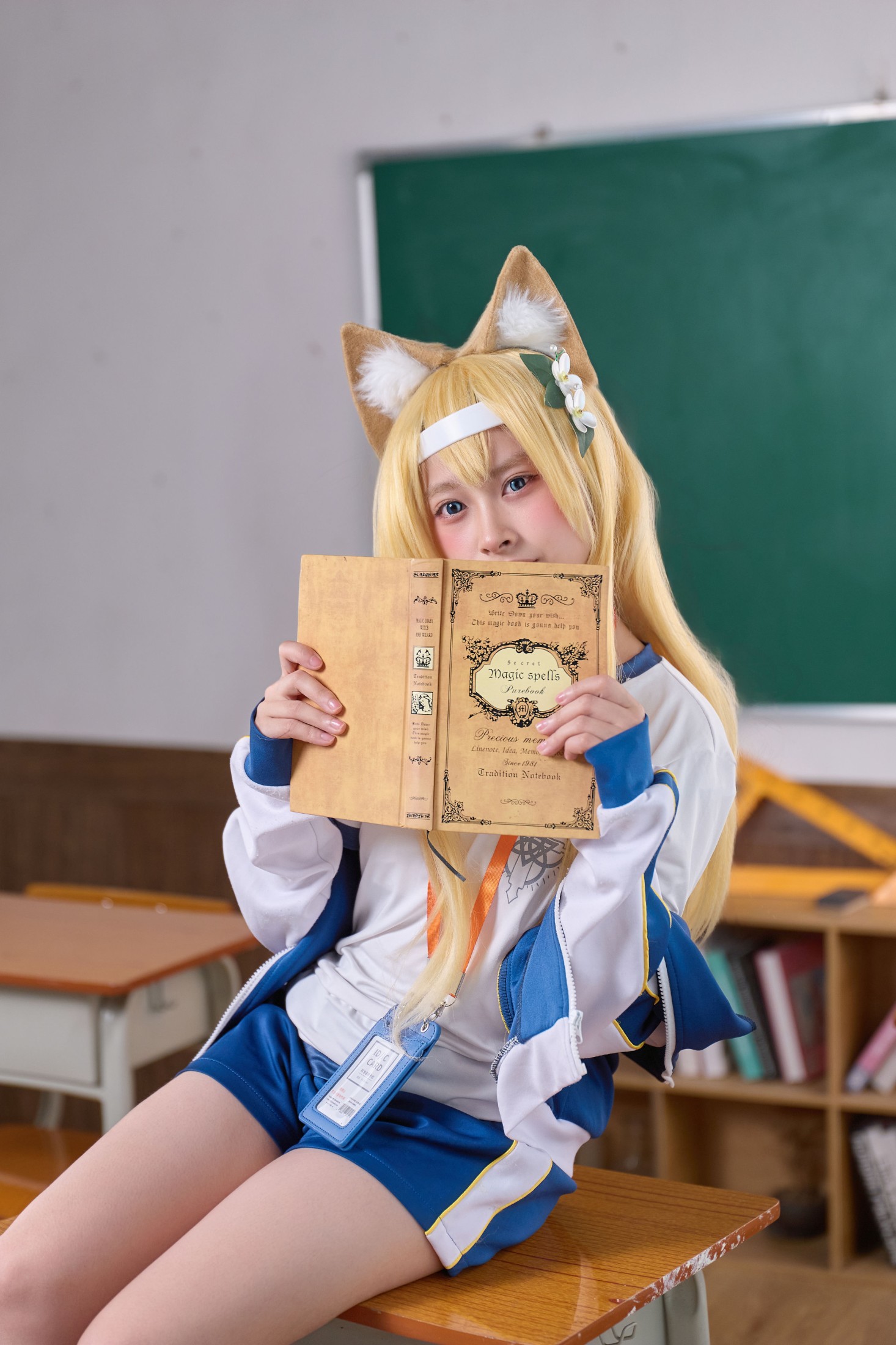蔚蓝档案