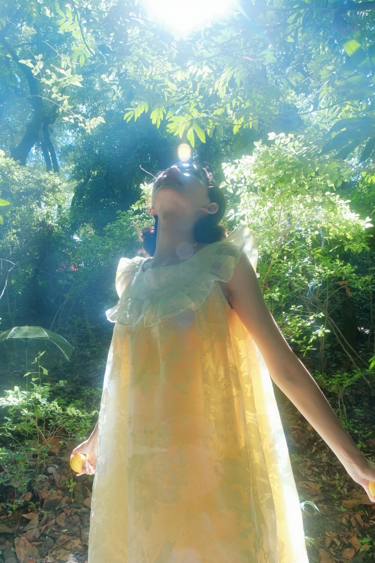 -iieu – 《夏天属于柠檬和散文诗》[40P]