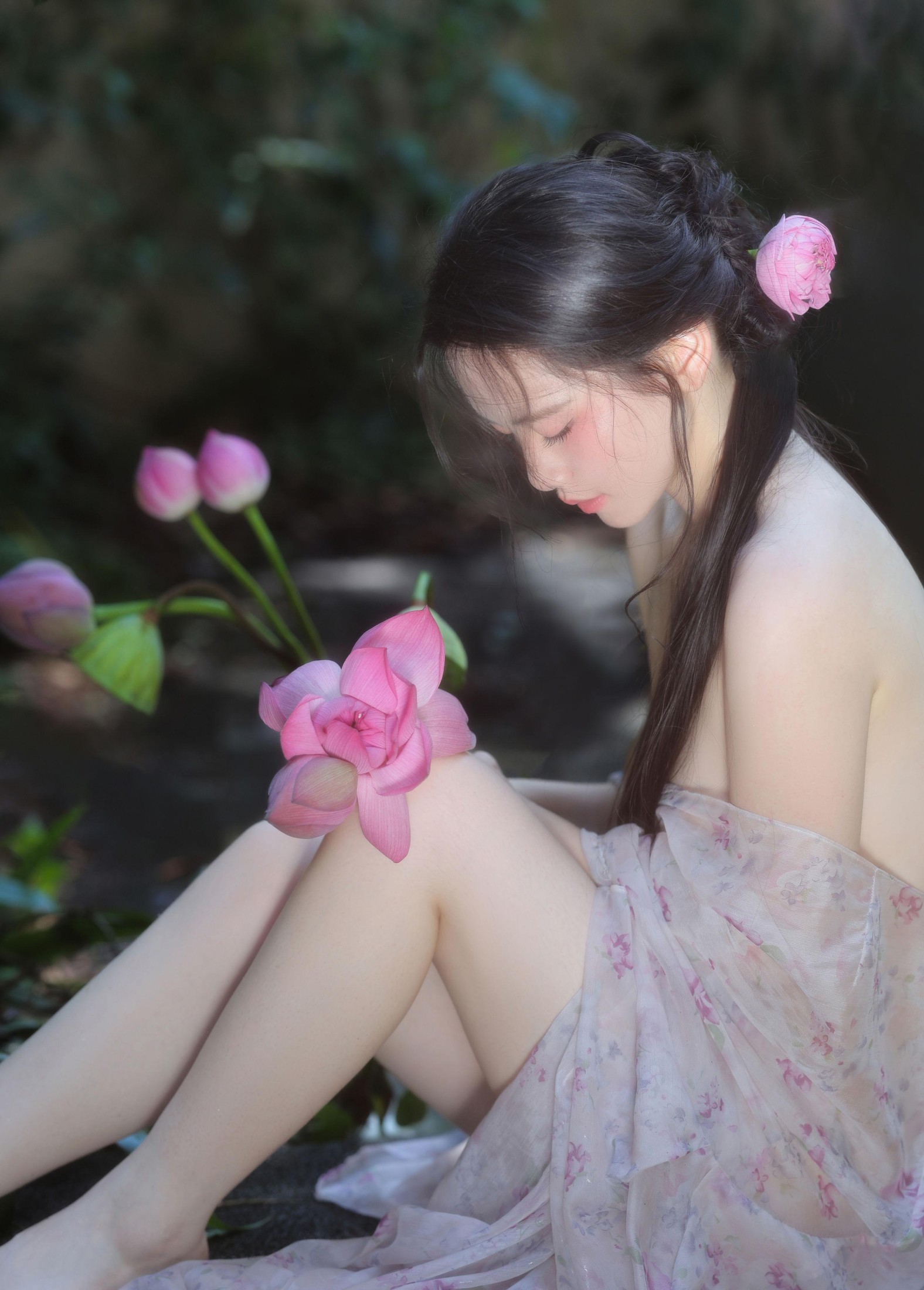 夏莲