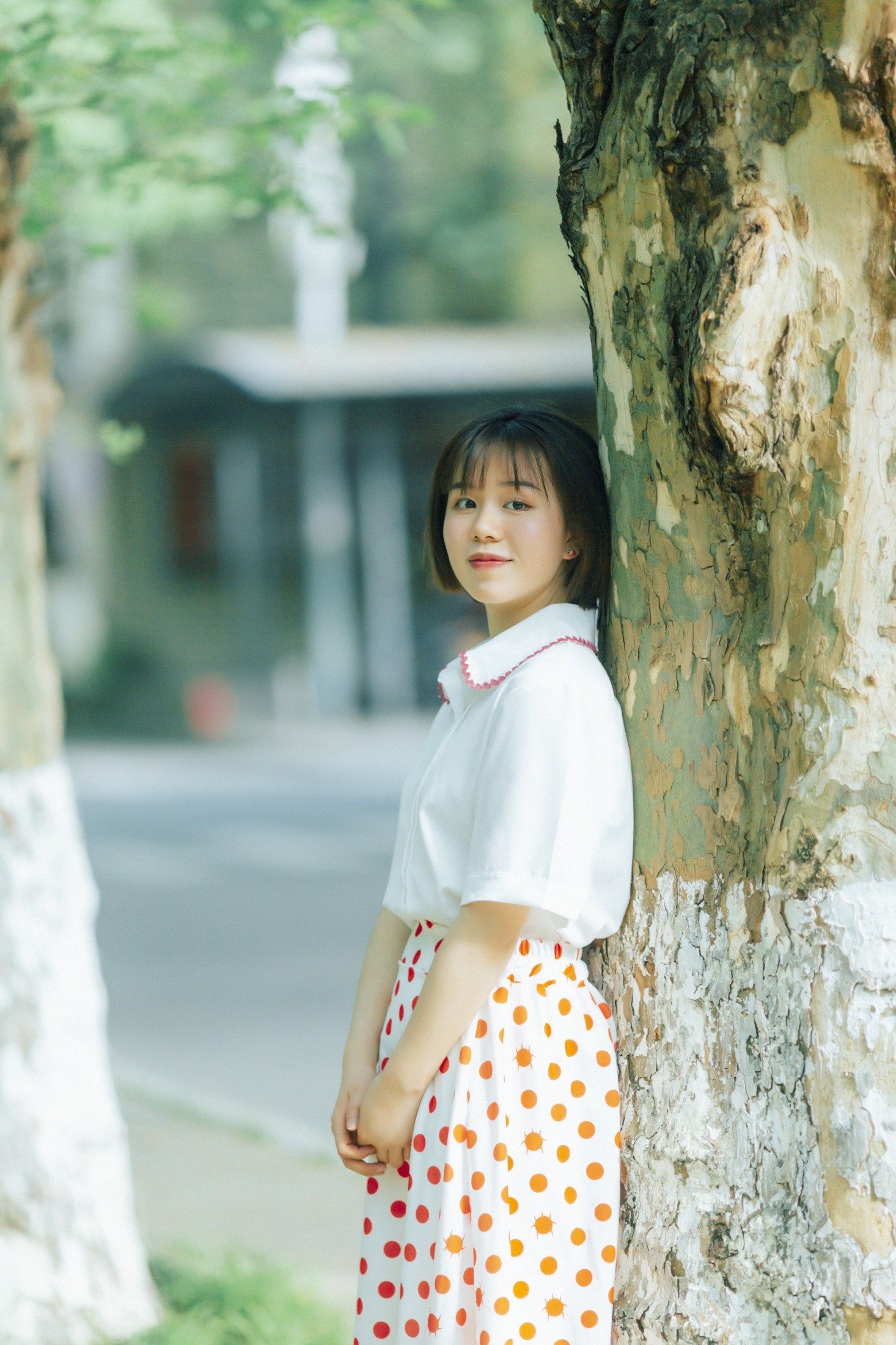 鑫鑫 – 《邻家女孩》[34P]