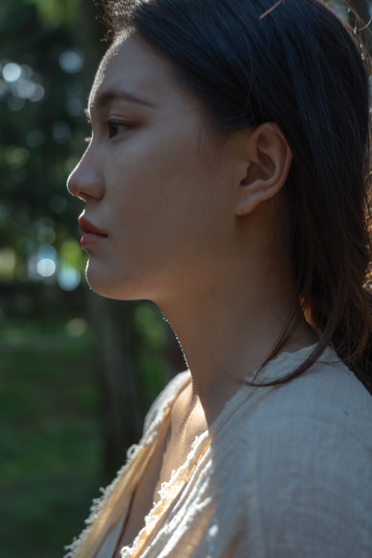 影落林隙