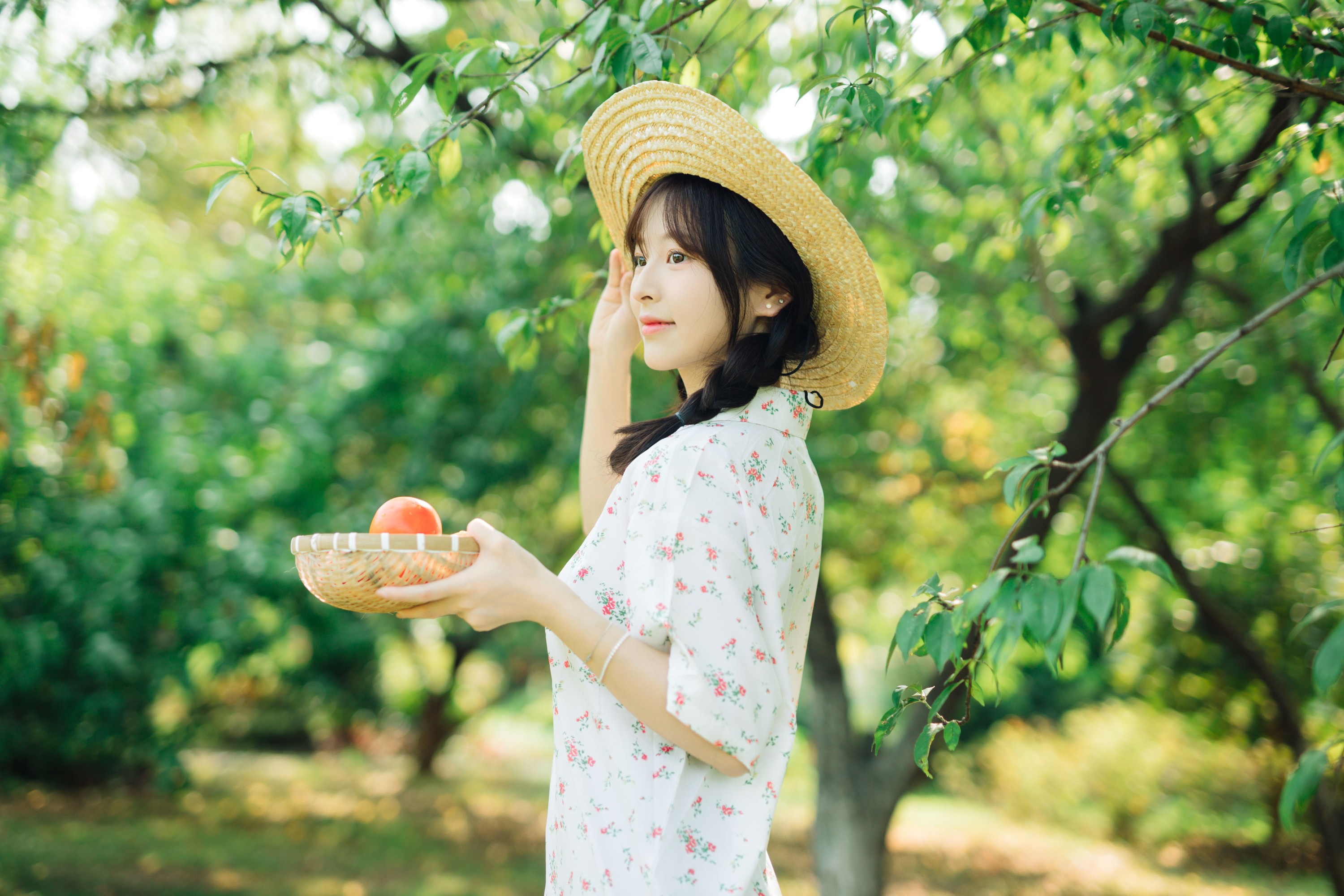 明媚的夏天