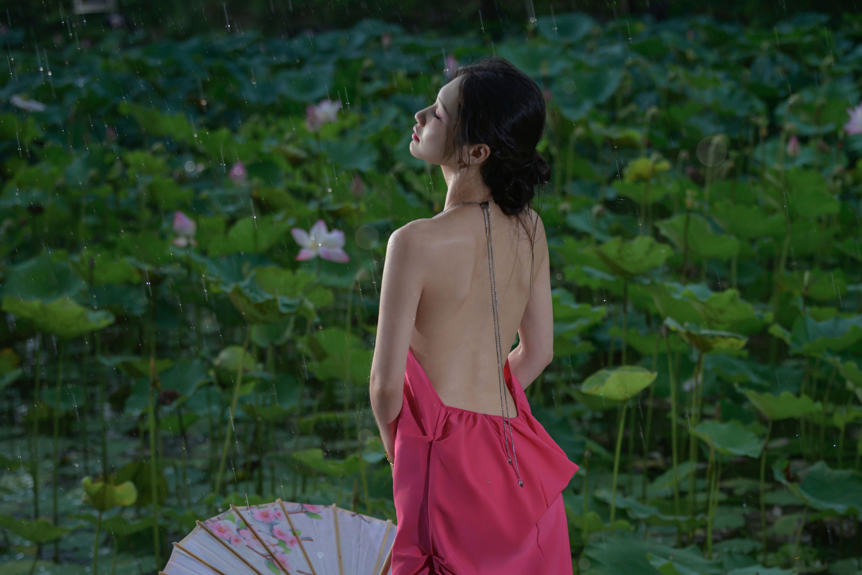 瑾瑾吖 – 《雨荷》[17P]