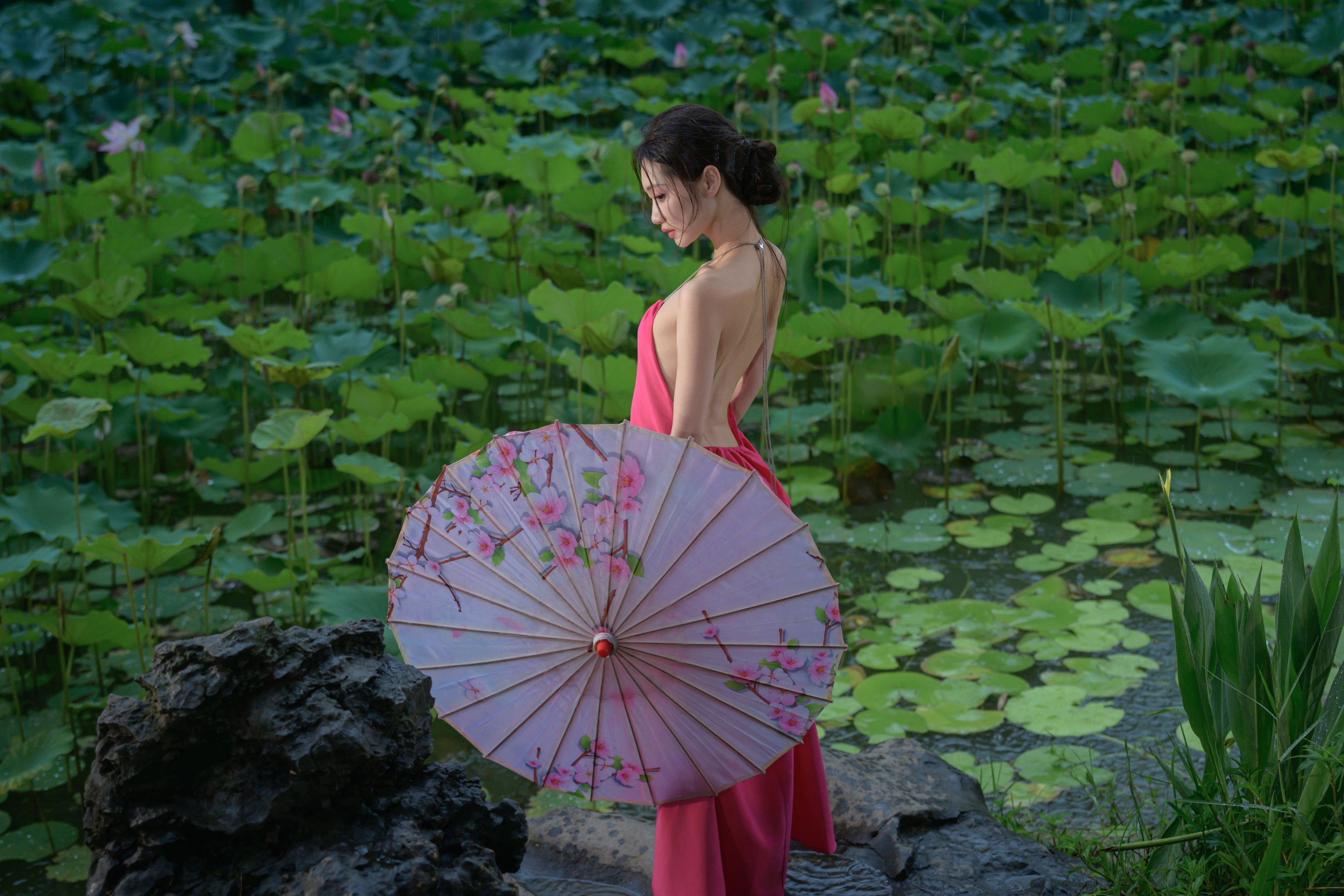 雨荷