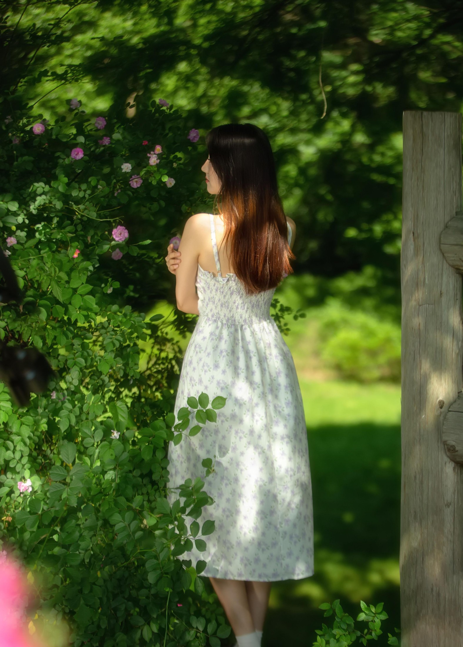 秘密花园里的少女