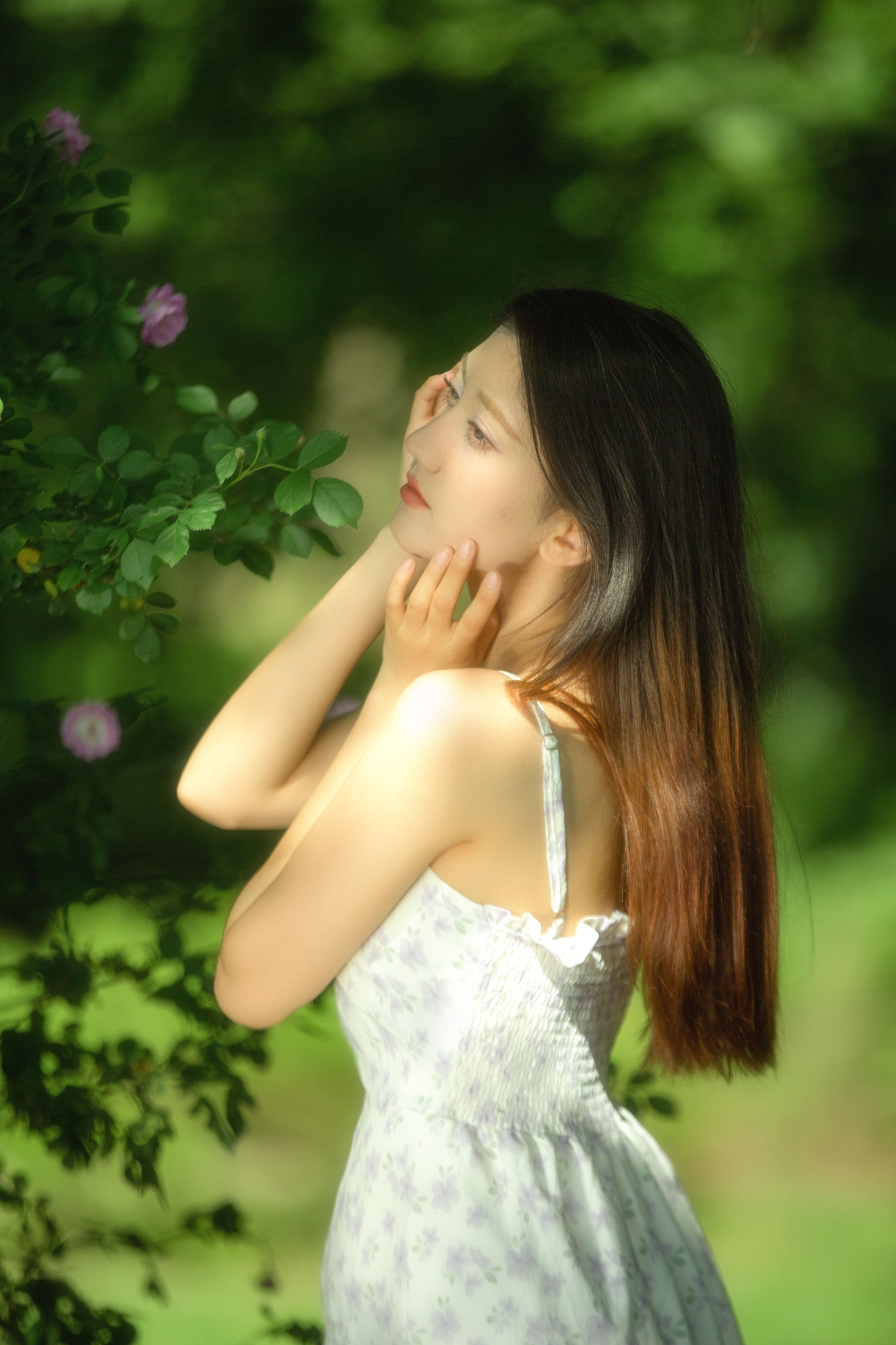 小麦 – 《秘密花园里的少女》[16P]