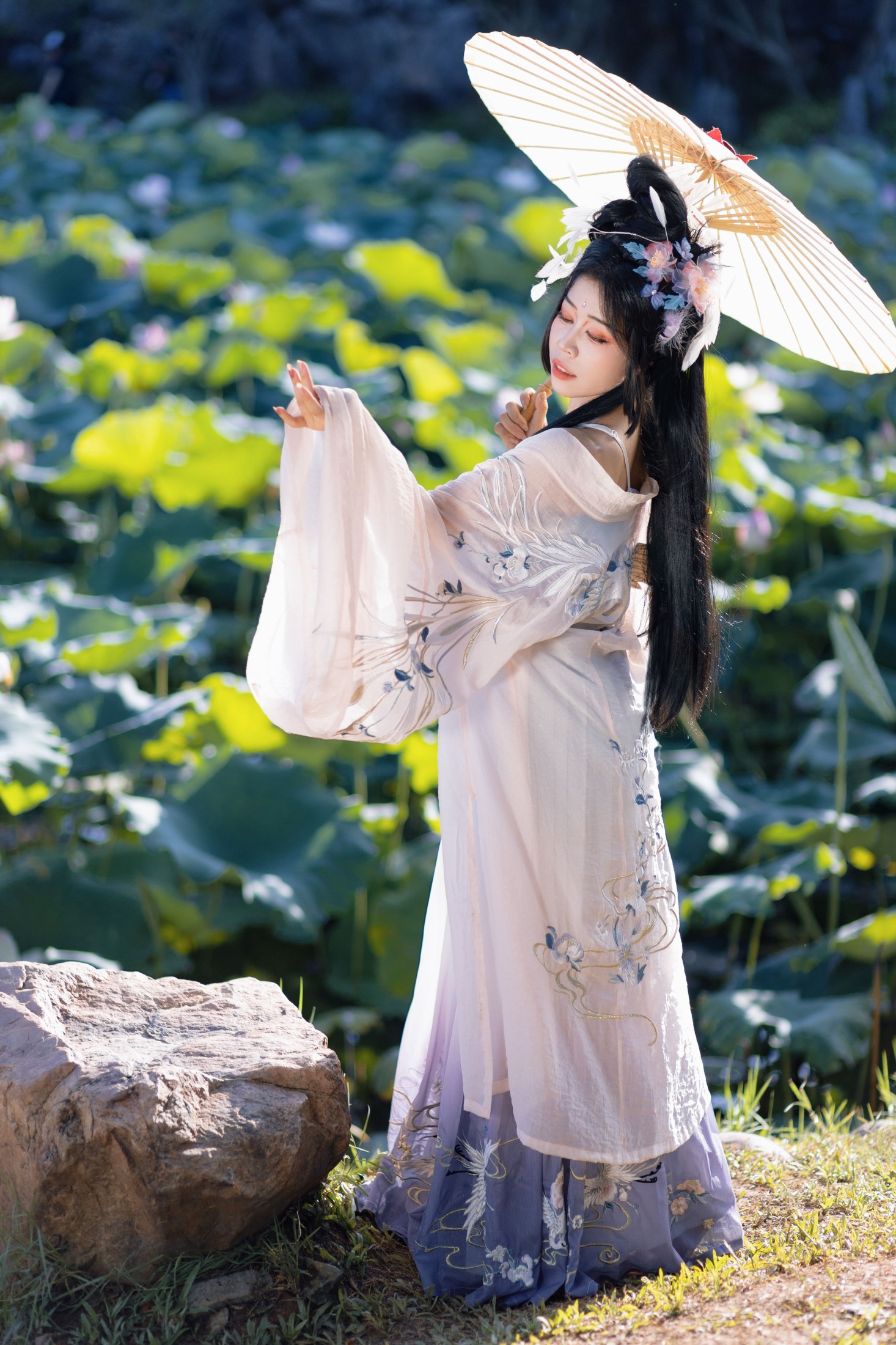 好运莲莲