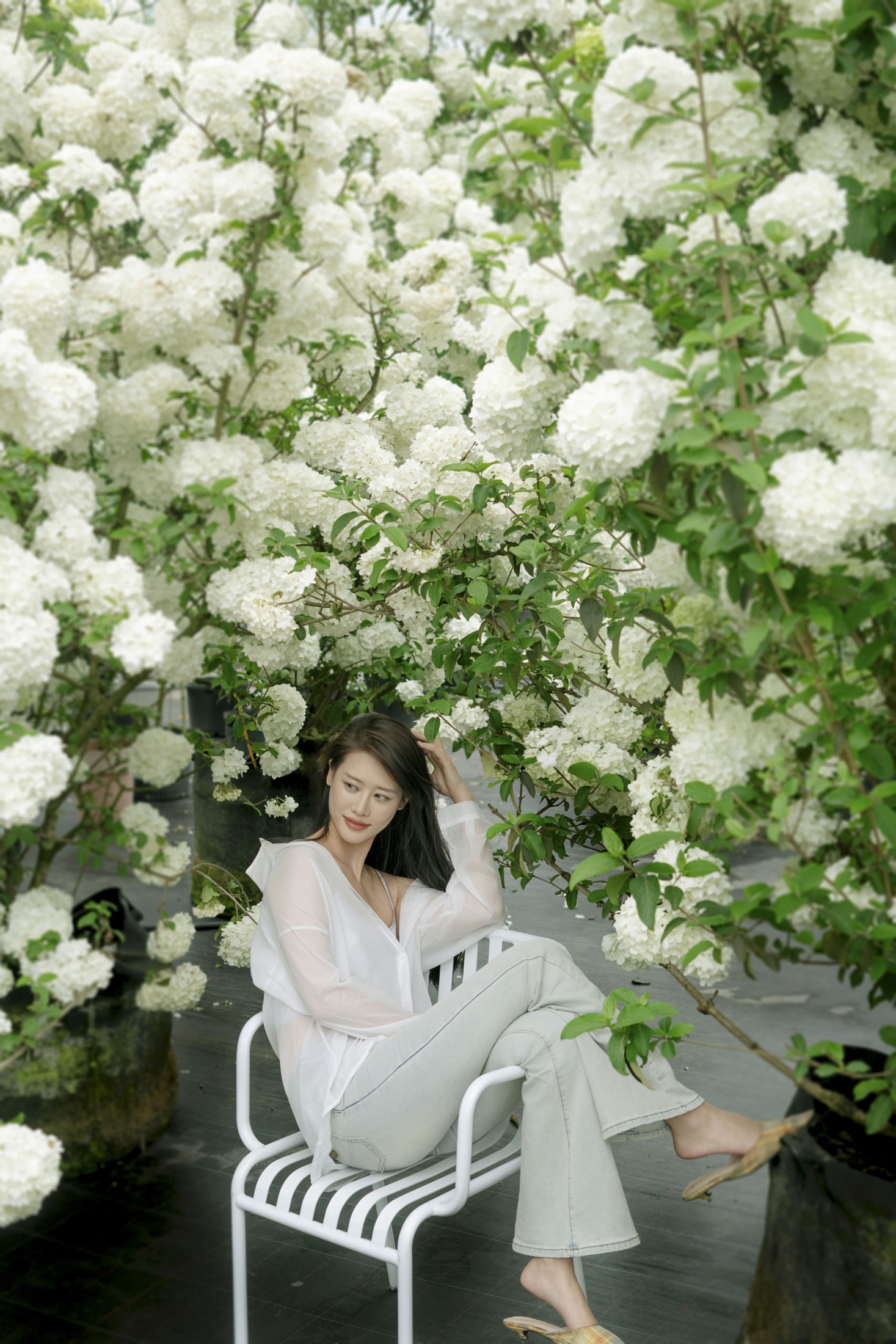 Chenaling_CL – 《绣球》[20P]