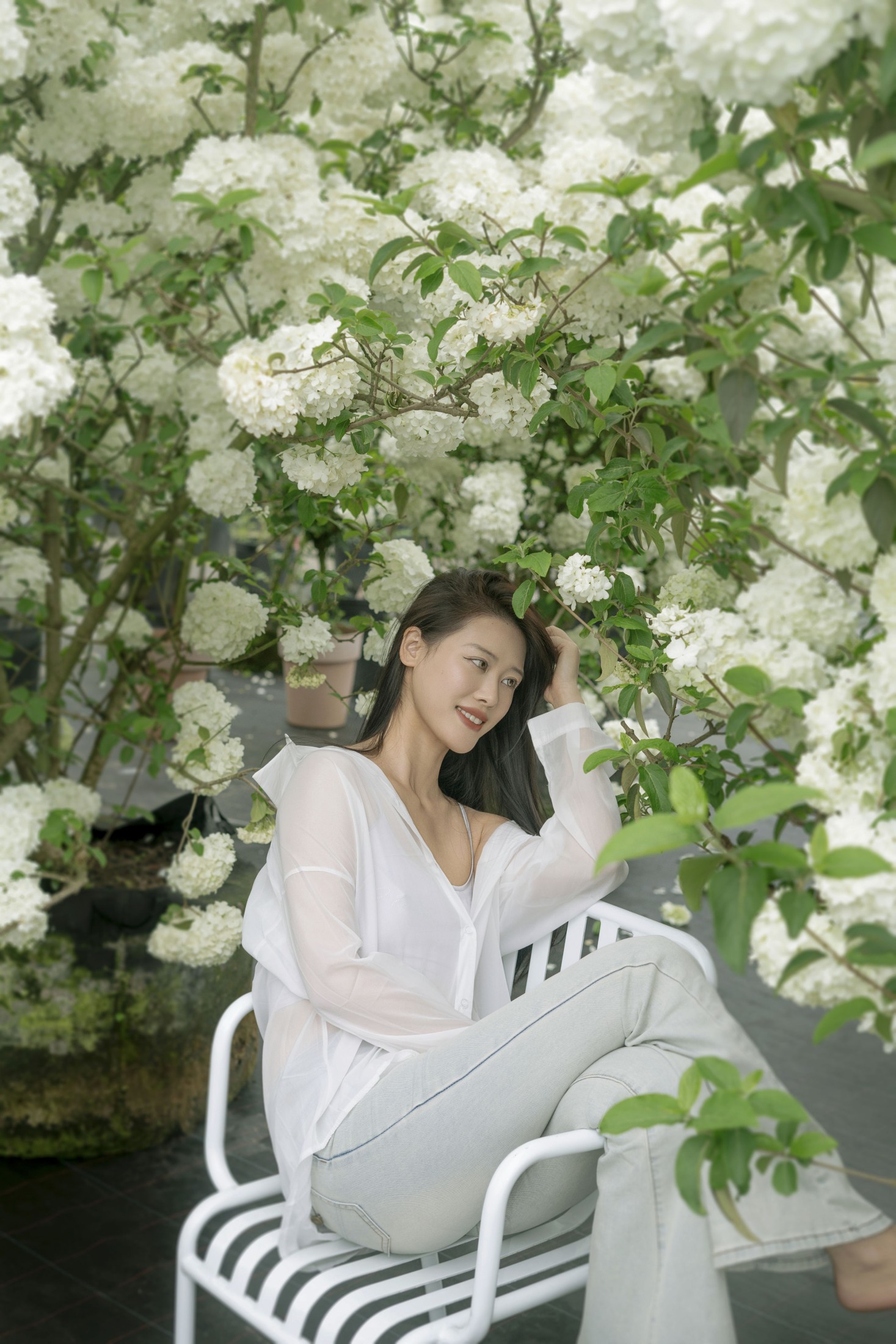 Chenaling_CL – 《绣球》[20P]