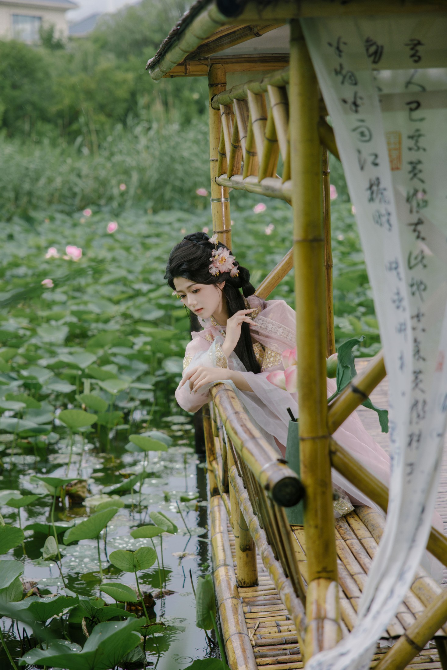 雨荷