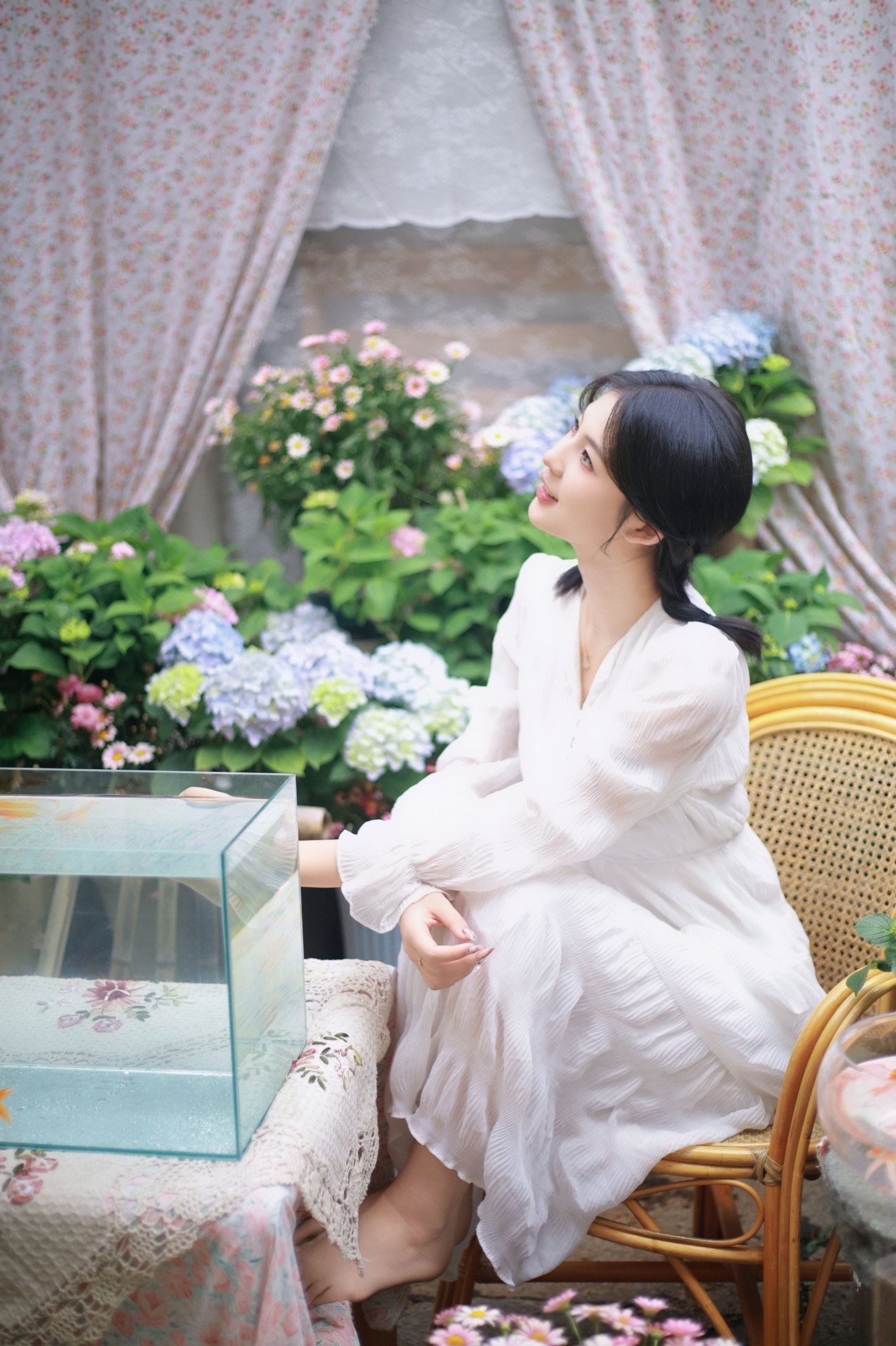院子里的金鱼