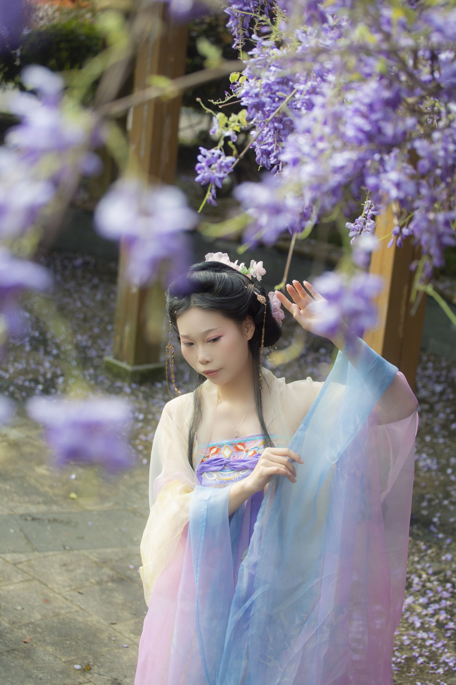 紫藤花