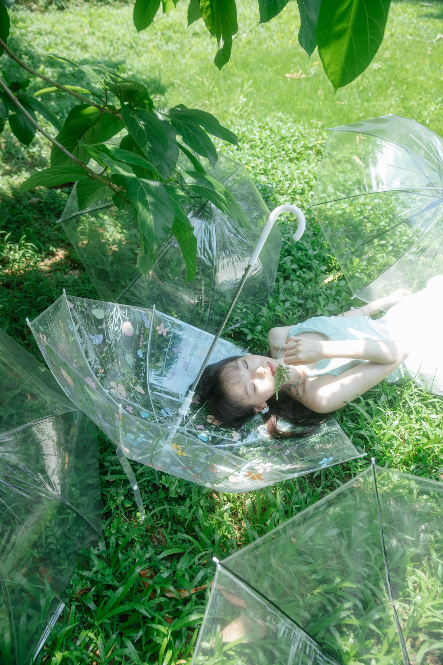 薄荷绿的夏天