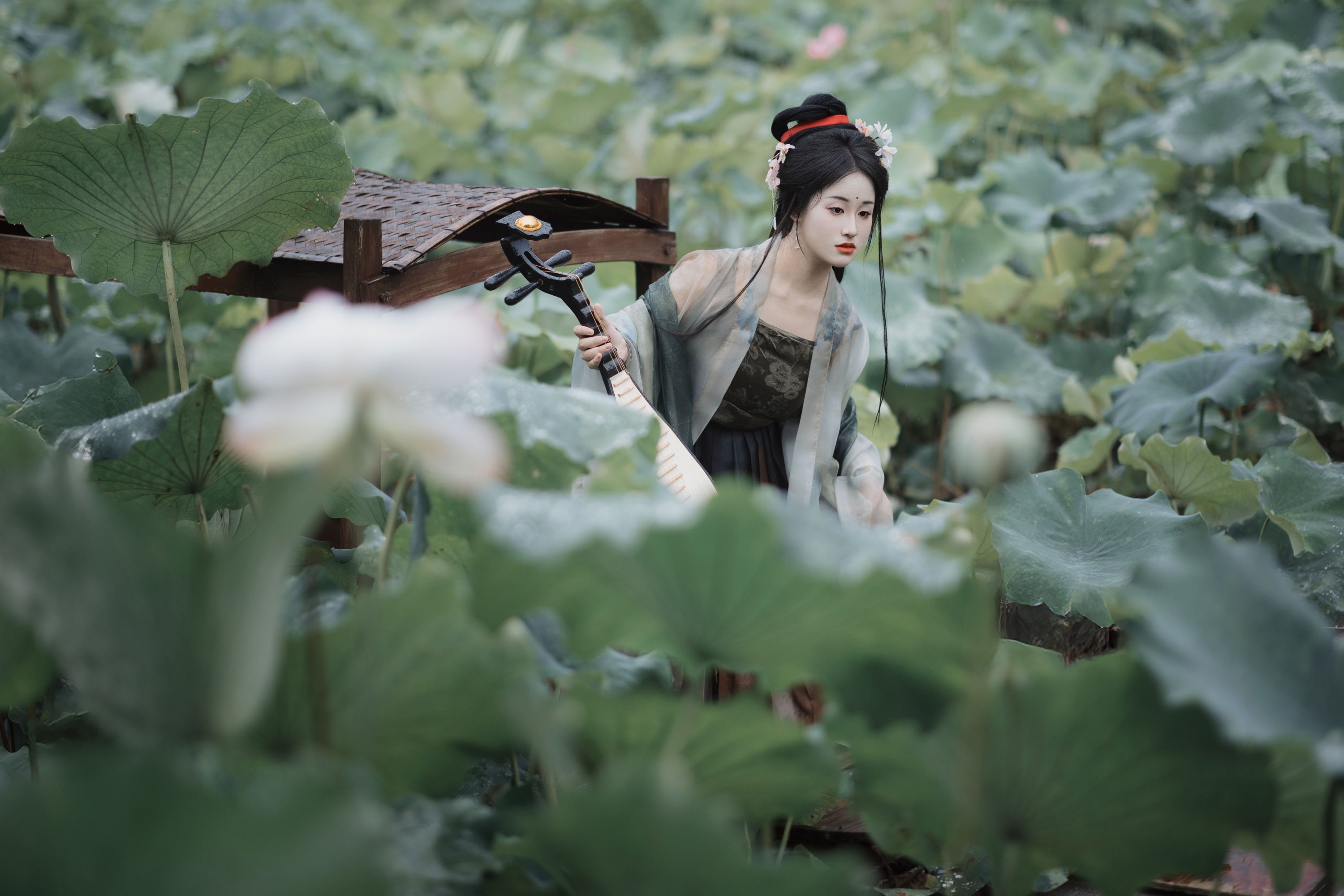 雨中采荷