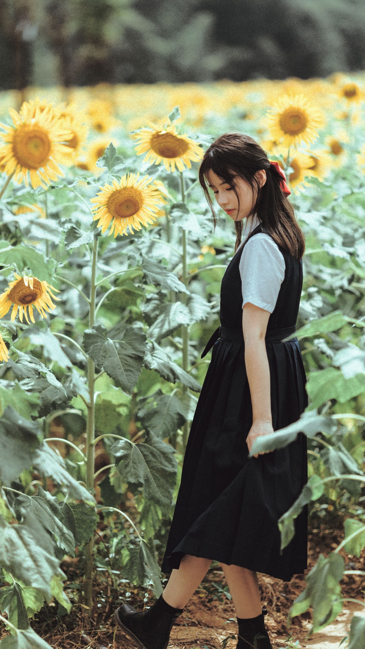 薇薇 – 《夏天的太阳花》[17P]