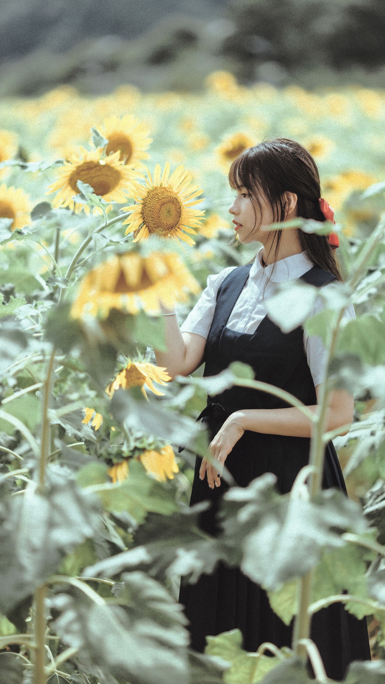 薇薇 – 《夏天的太阳花》[17P]